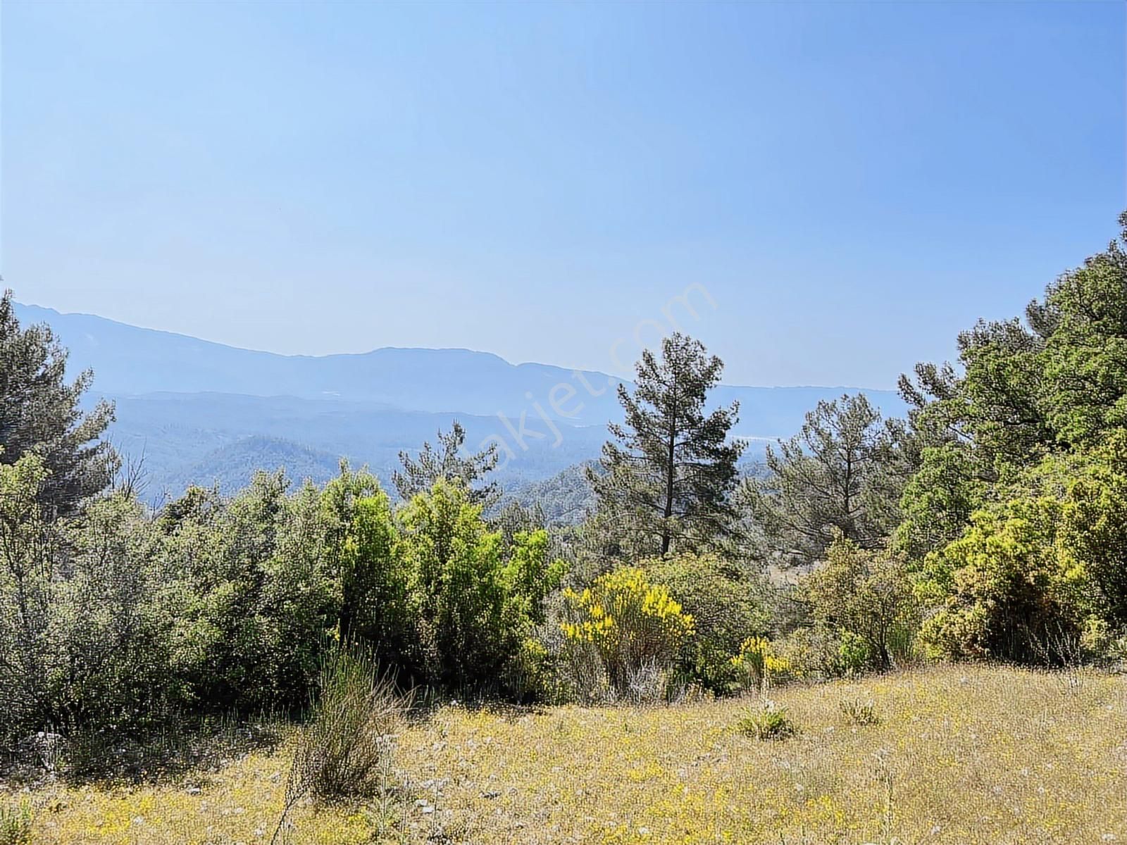 Kaş Mega Dan Gürsu Da Yola Cephe 6.000 M2 İnşaat İzinli Parsel - Görsel 15