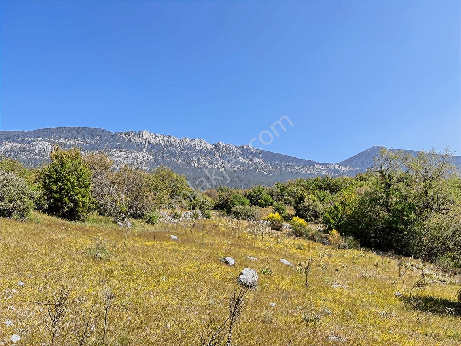 Kaş Mega Dan Gürsu Da Yola Cephe 6.000 M2 İnşaat İzinli Parsel - Görsel 23