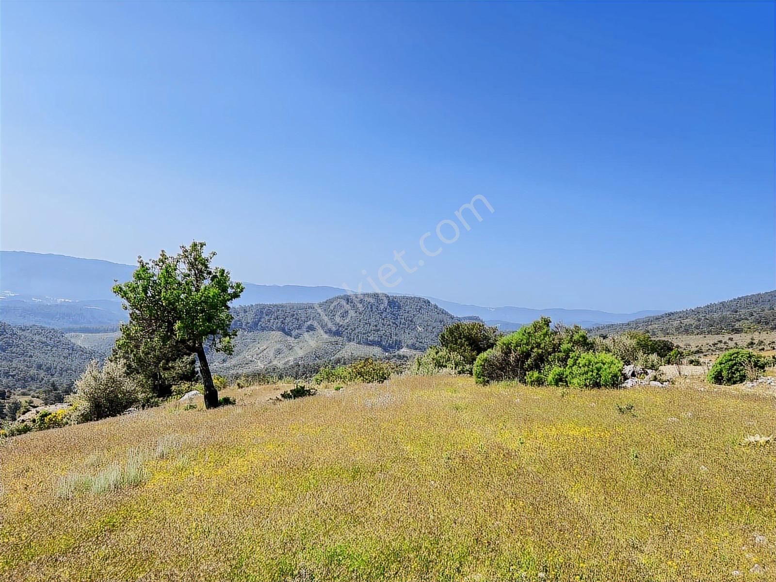 Kaş Mega Dan Gürsu Da Yola Cephe 6.000 M2 İnşaat İzinli Parsel - Görsel 19