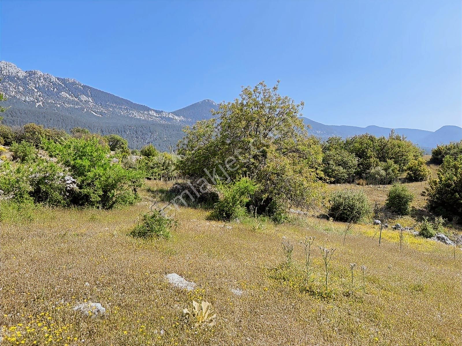 Kaş Mega Dan Gürsu Da Yola Cephe 6.000 M2 İnşaat İzinli Parsel - Görsel 3