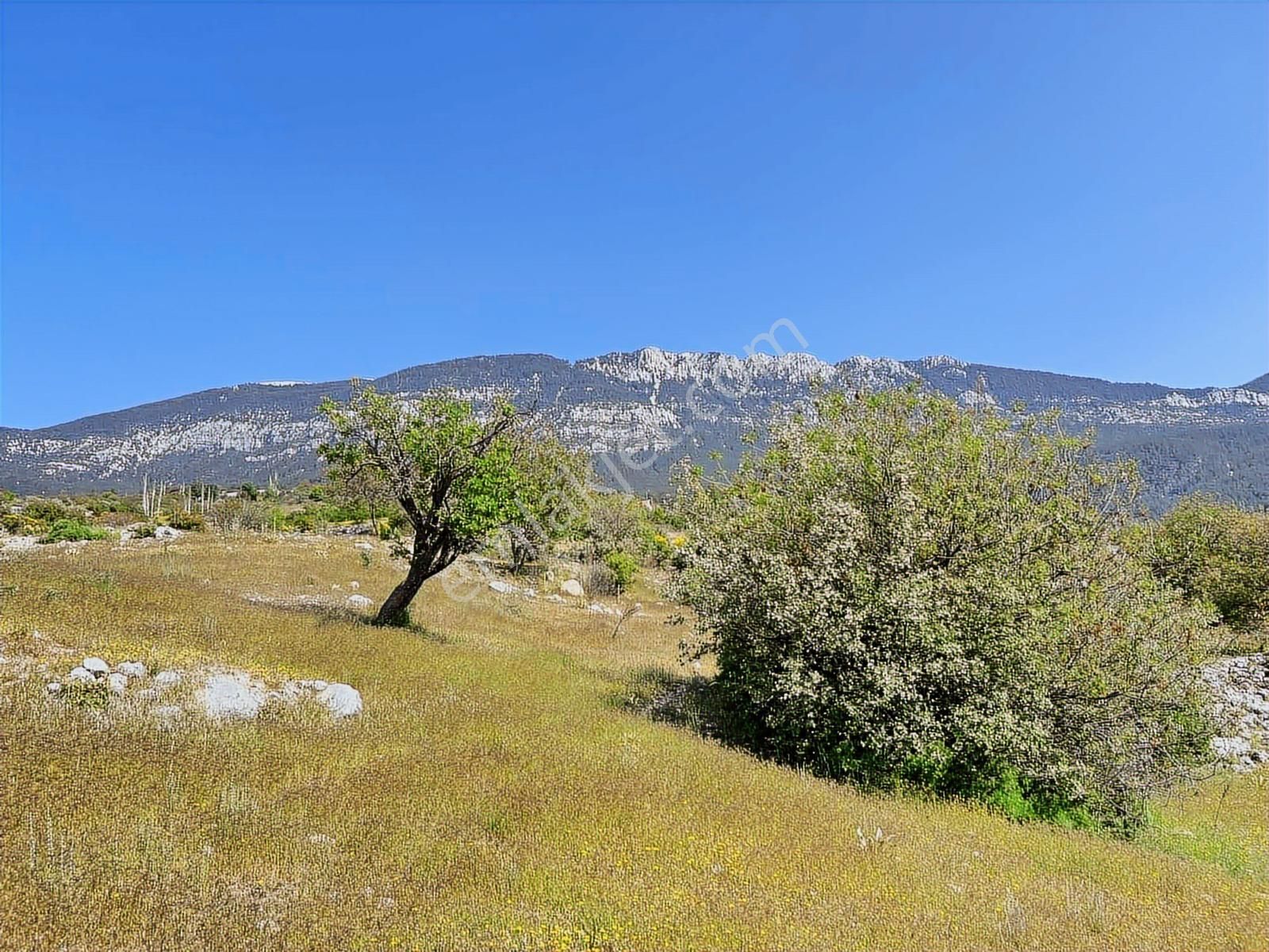 Kaş Mega Dan Gürsu Da Yola Cephe 6.000 M2 İnşaat İzinli Parsel - Görsel 8