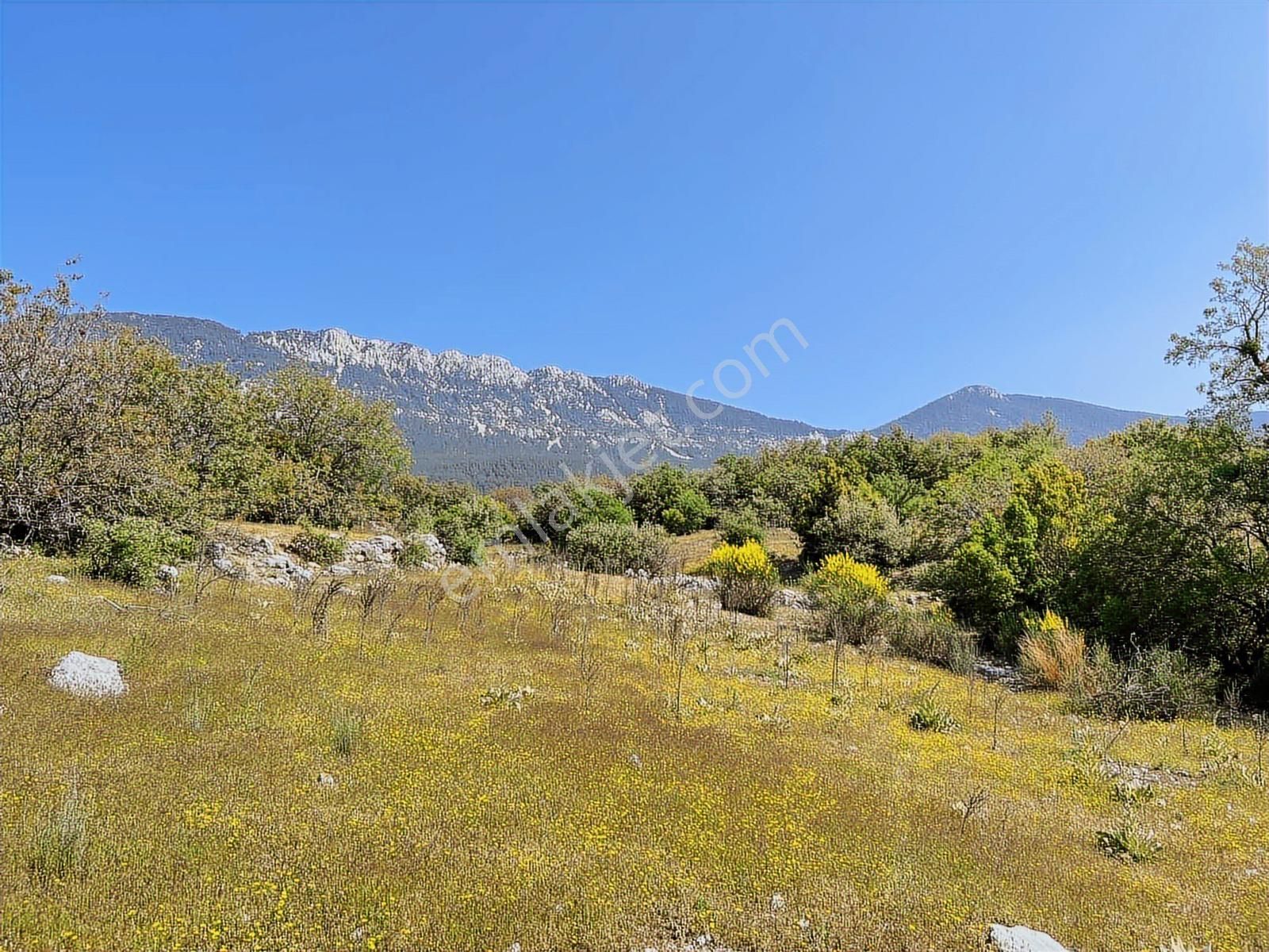 Kaş Mega Dan Gürsu Da Yola Cephe 6.000 M2 İnşaat İzinli Parsel - Görsel 13