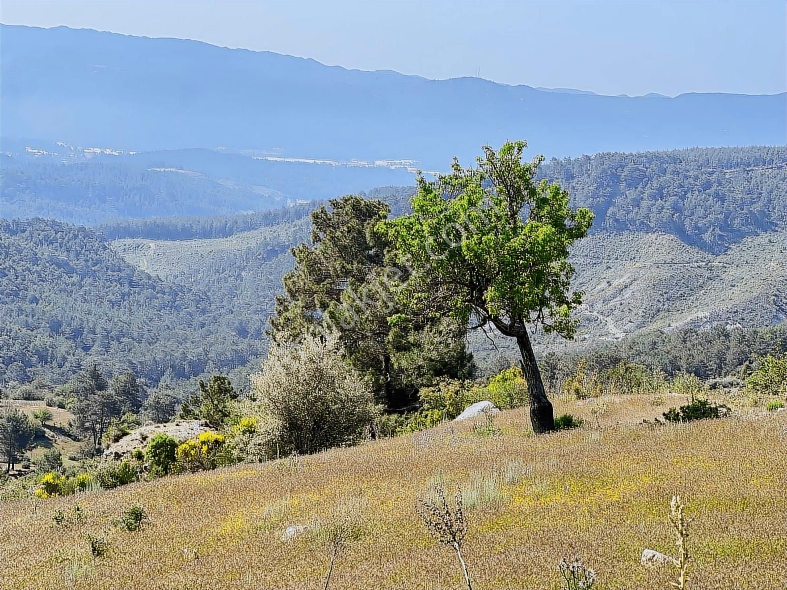 Kaş Mega Dan Gürsu Da Yola Cephe 6.000 M2 İnşaat İzinli Parsel - Görsel 5