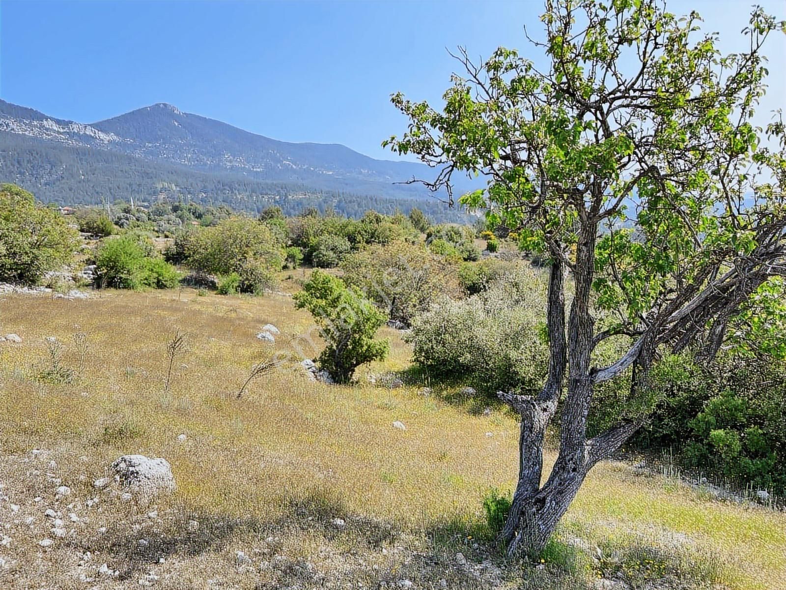 Kaş Mega Dan Gürsu Da Yola Cephe 6.000 M2 İnşaat İzinli Parsel - Görsel 10