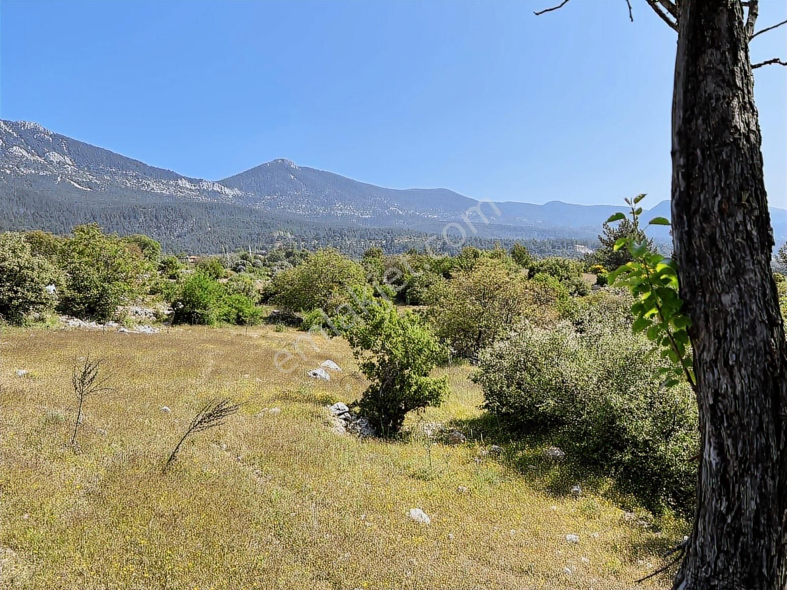 Kaş Mega Dan Gürsu Da Yola Cephe 6.000 M2 İnşaat İzinli Parsel - Görsel 22
