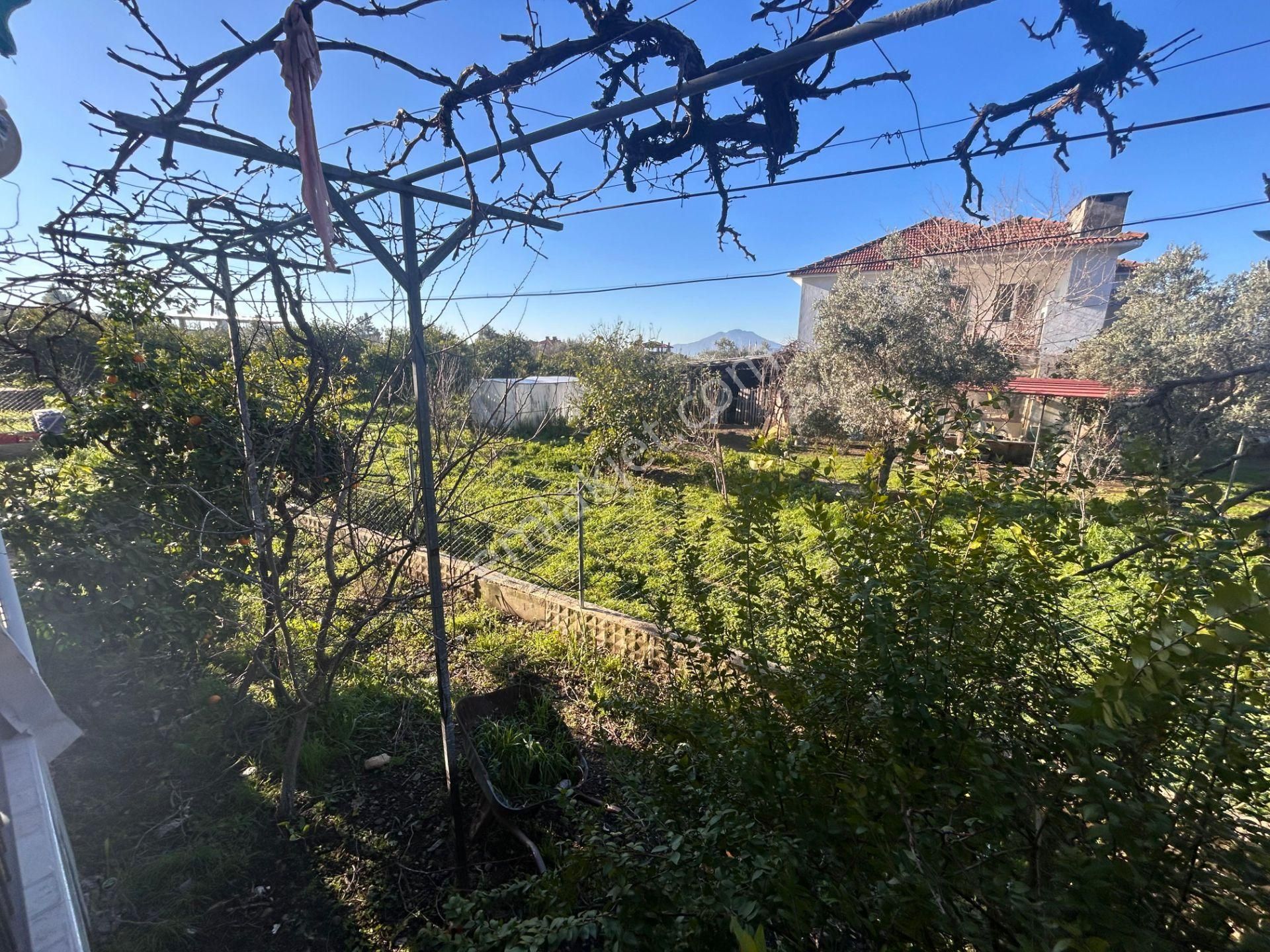 Tuana Emlak'tan Toparlar'da 2+1 Giriş Kat Daire - Görsel 21