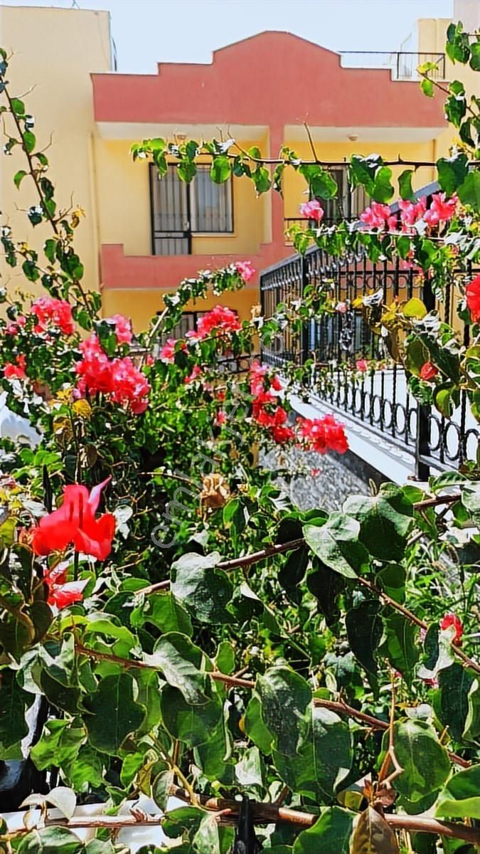 Kuşadası Merkezi Konumlu Yabancıdan Satılık,3+1.villa - Görsel 12