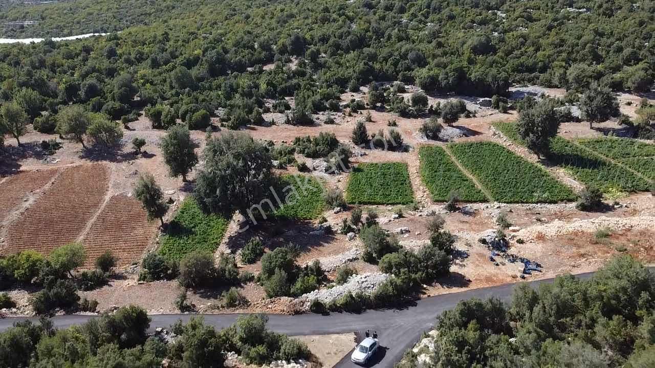Mersin Erdemli Hüsametli 7 Dönüm Yatırımlık Yer - Görsel 2