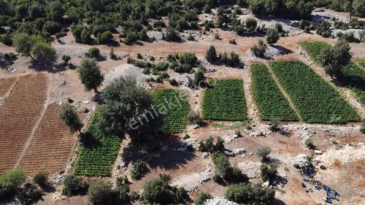 Mersin Erdemli Hüsametli 7 Dönüm Yatırımlık Yer - Görsel 6
