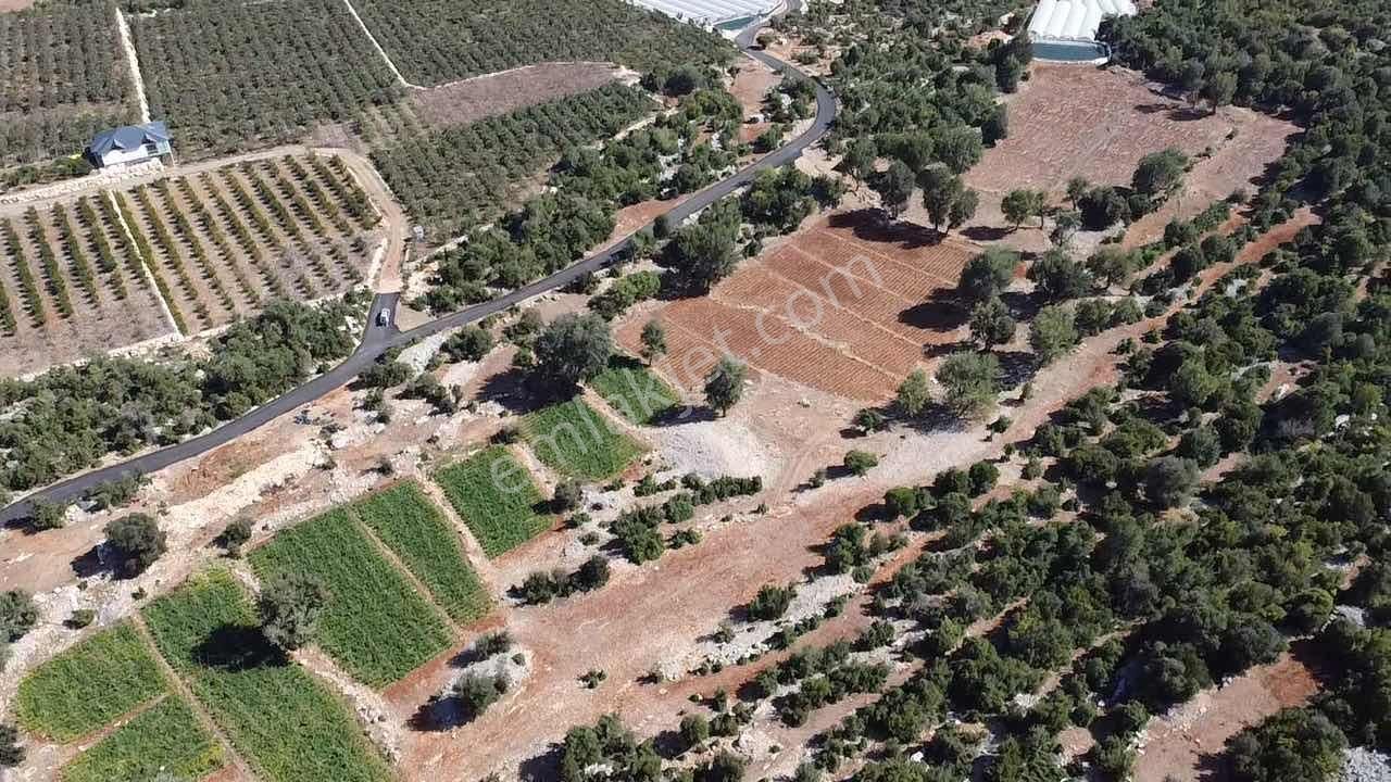 Mersin Erdemli Hüsametli 7 Dönüm Yatırımlık Yer - Görsel 7