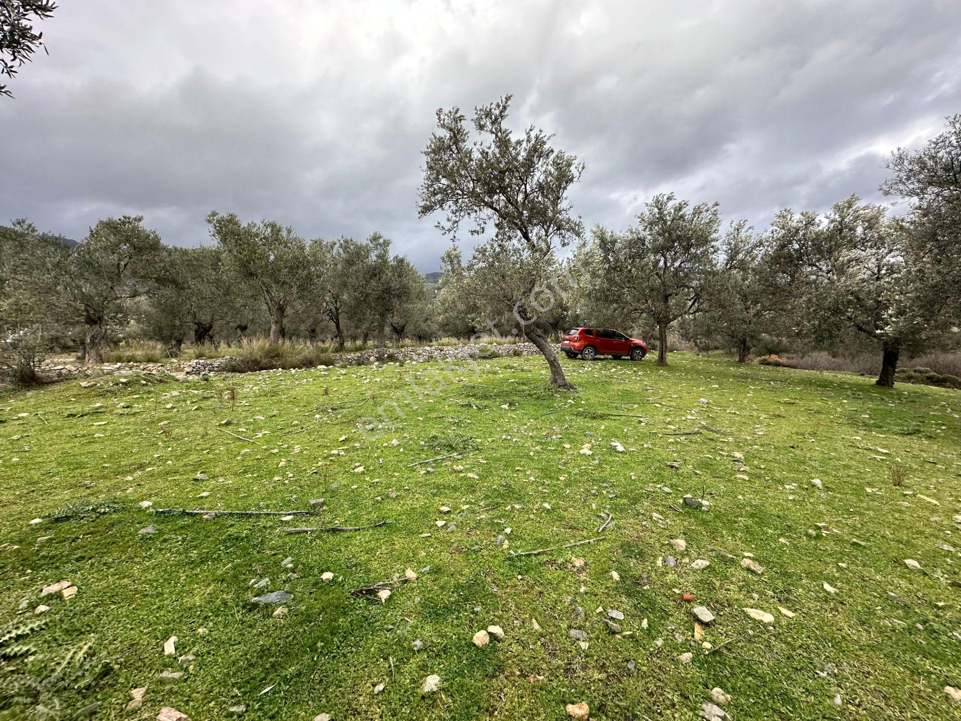 ▀▄mera Emlaktan Kazdağları Güre Mah. 16 Villalık 3872m2 Net Arsa - Görsel 21