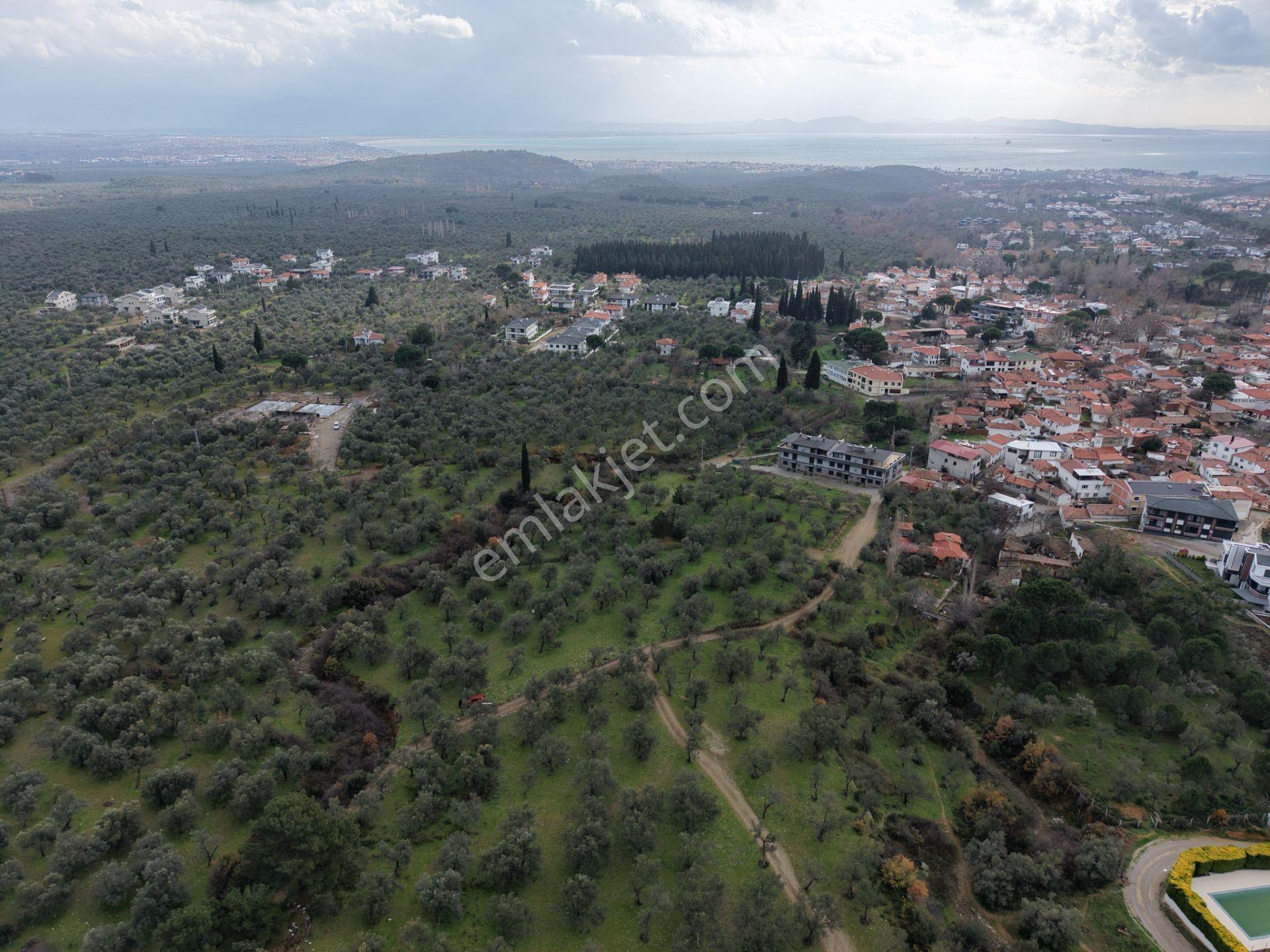 ▀▄mera Emlaktan Kazdağları Güre Mah. 16 Villalık 3872m2 Net Arsa - Görsel 15