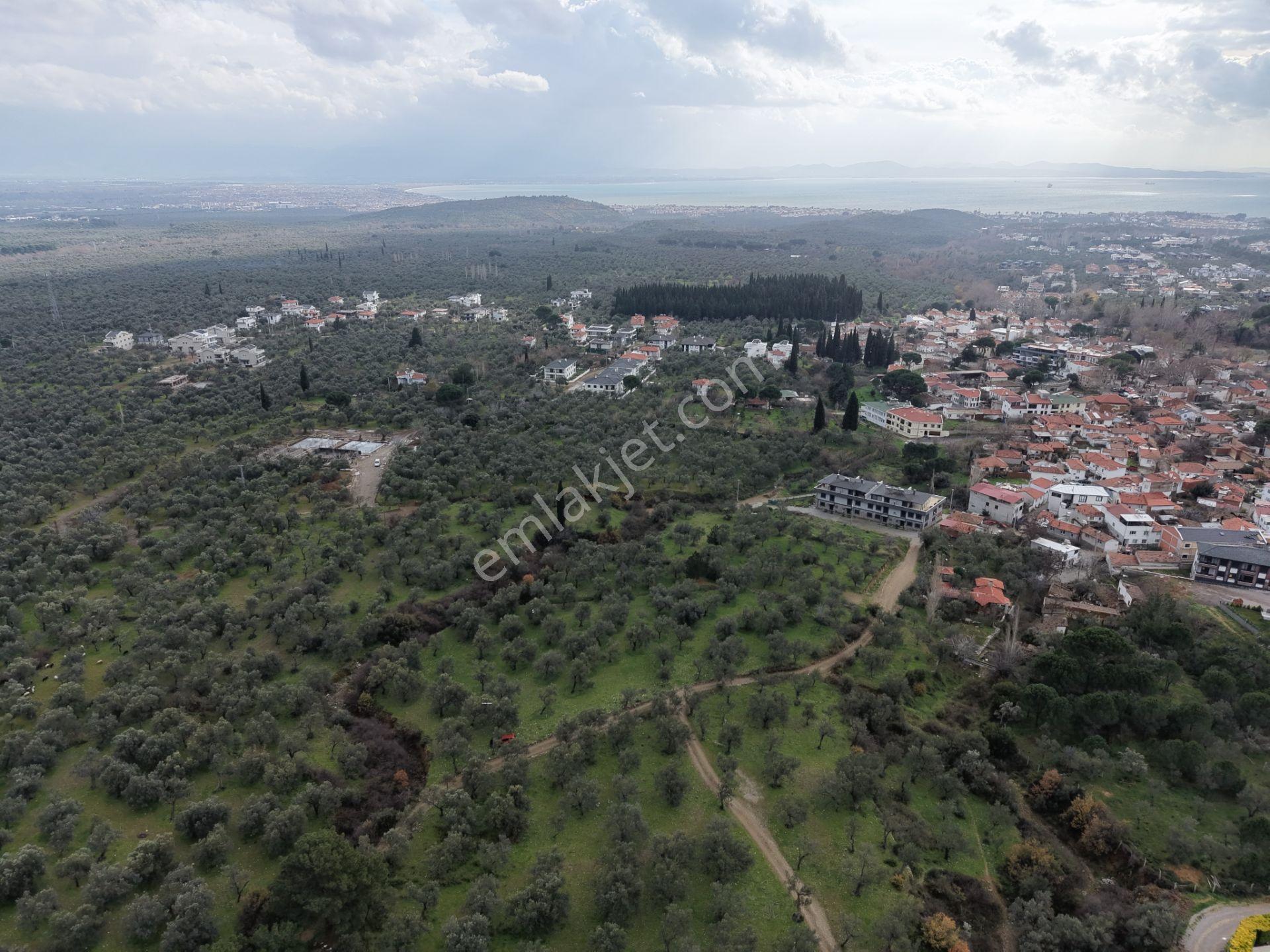 ▀▄mera Emlaktan Kazdağları Güre Mah. 16 Villalık 3872m2 Net Arsa - Görsel 20
