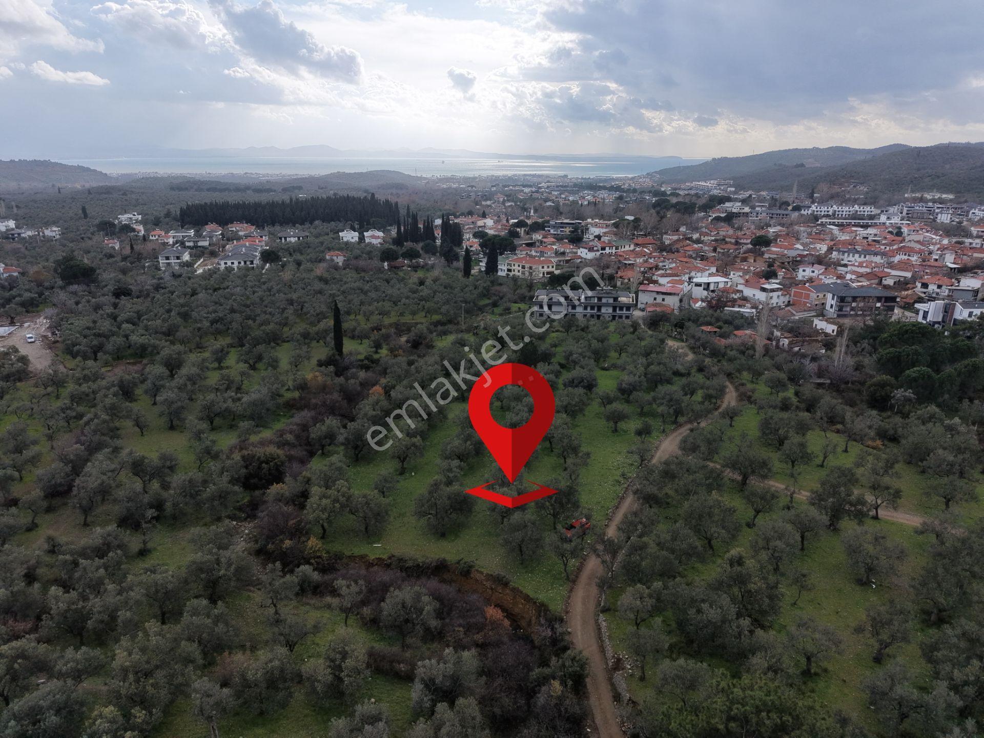 ▀▄mera Emlaktan Kazdağları Güre Mah. 16 Villalık 3872m2 Net Arsa - Görsel 6