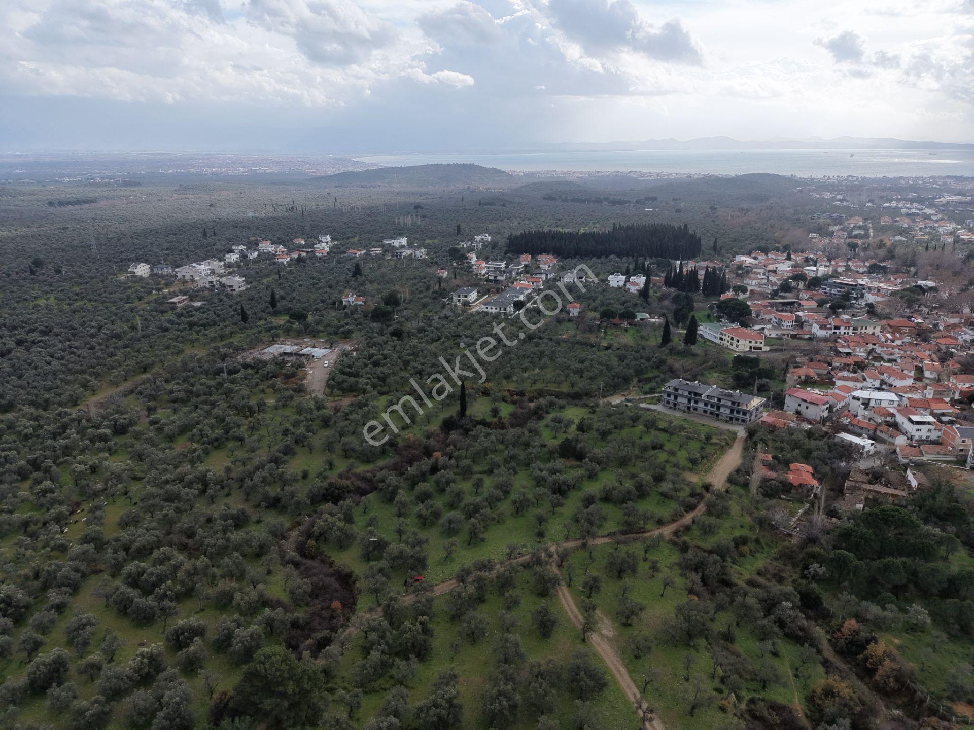 ▀▄mera Emlaktan Kazdağları Güre Mah. 16 Villalık 3872m2 Net Arsa - Görsel 22