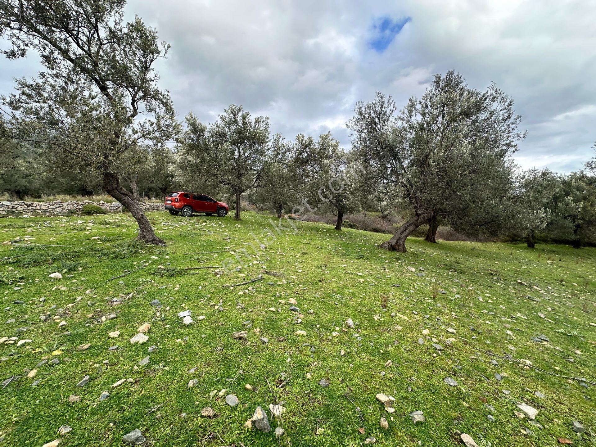 ▀▄mera Emlaktan Kazdağları Güre Mah. 16 Villalık 3872m2 Net Arsa - Görsel 23