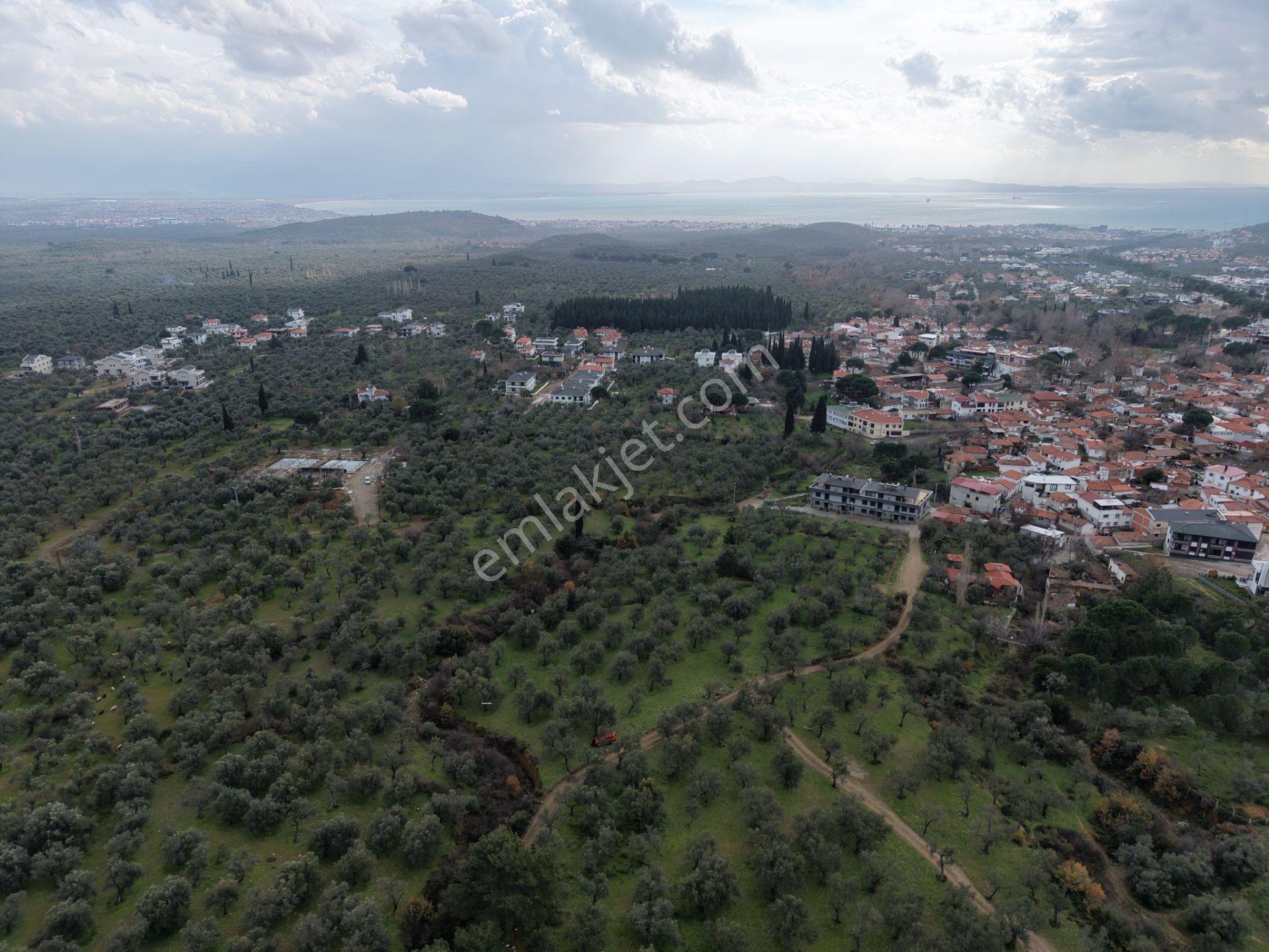 ▀▄mera Emlaktan Kazdağları Güre Mah. 16 Villalık 3872m2 Net Arsa - Görsel 29