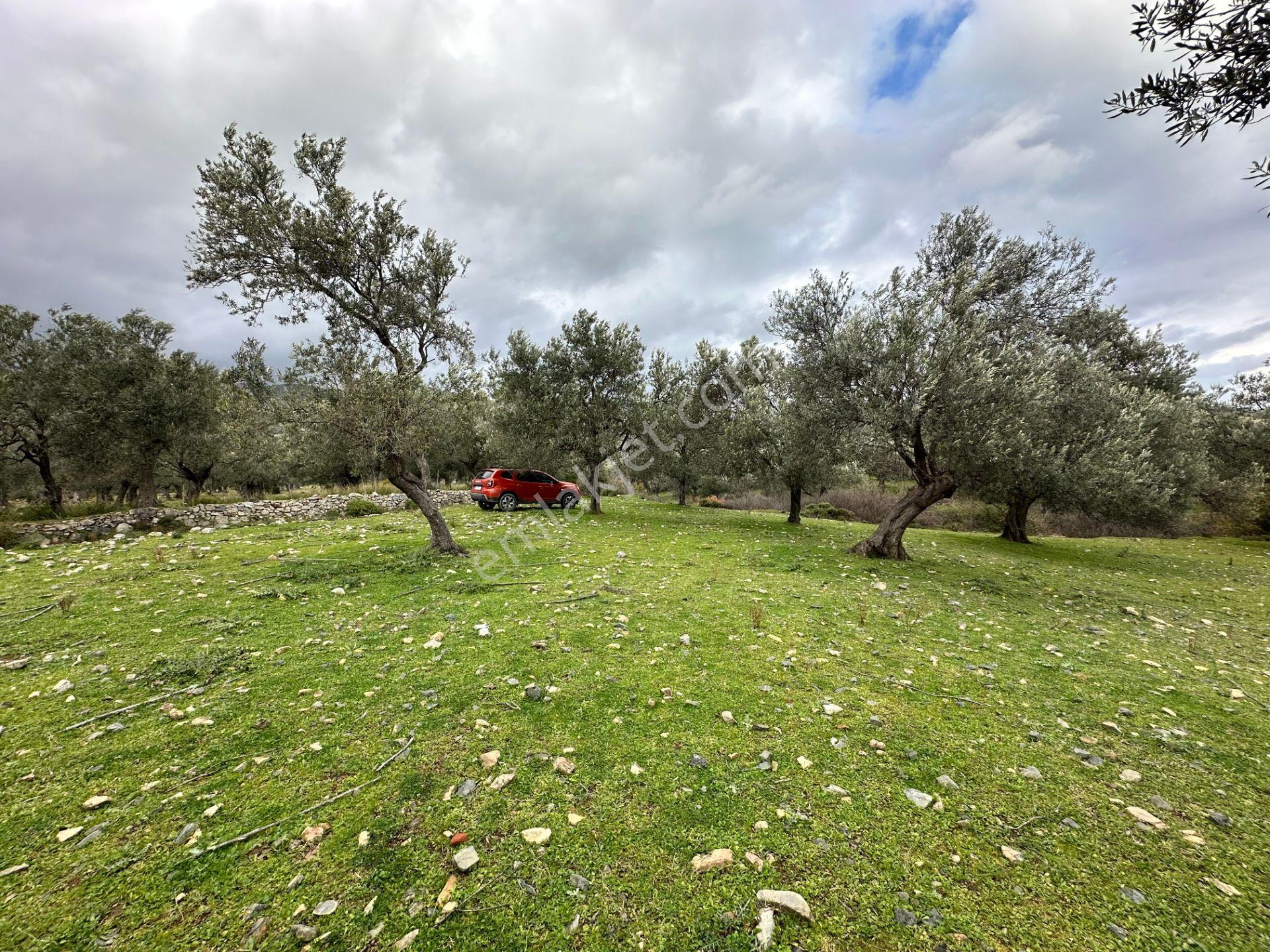 ▀▄mera Emlaktan Kazdağları Güre Mah. 16 Villalık 3872m2 Net Arsa - Görsel 10