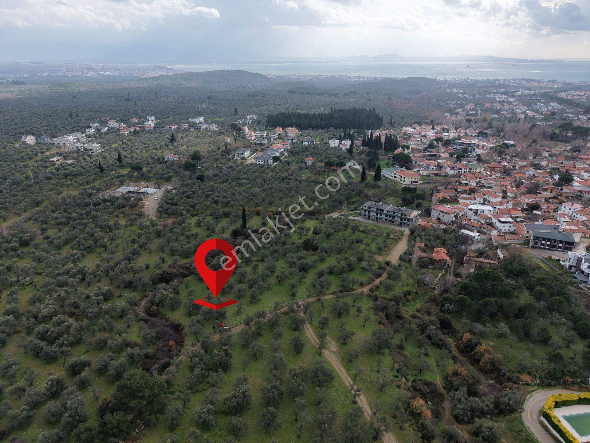 ▀▄mera Emlaktan Kazdağları Güre Mah. 16 Villalık 3872m2 Net Arsa