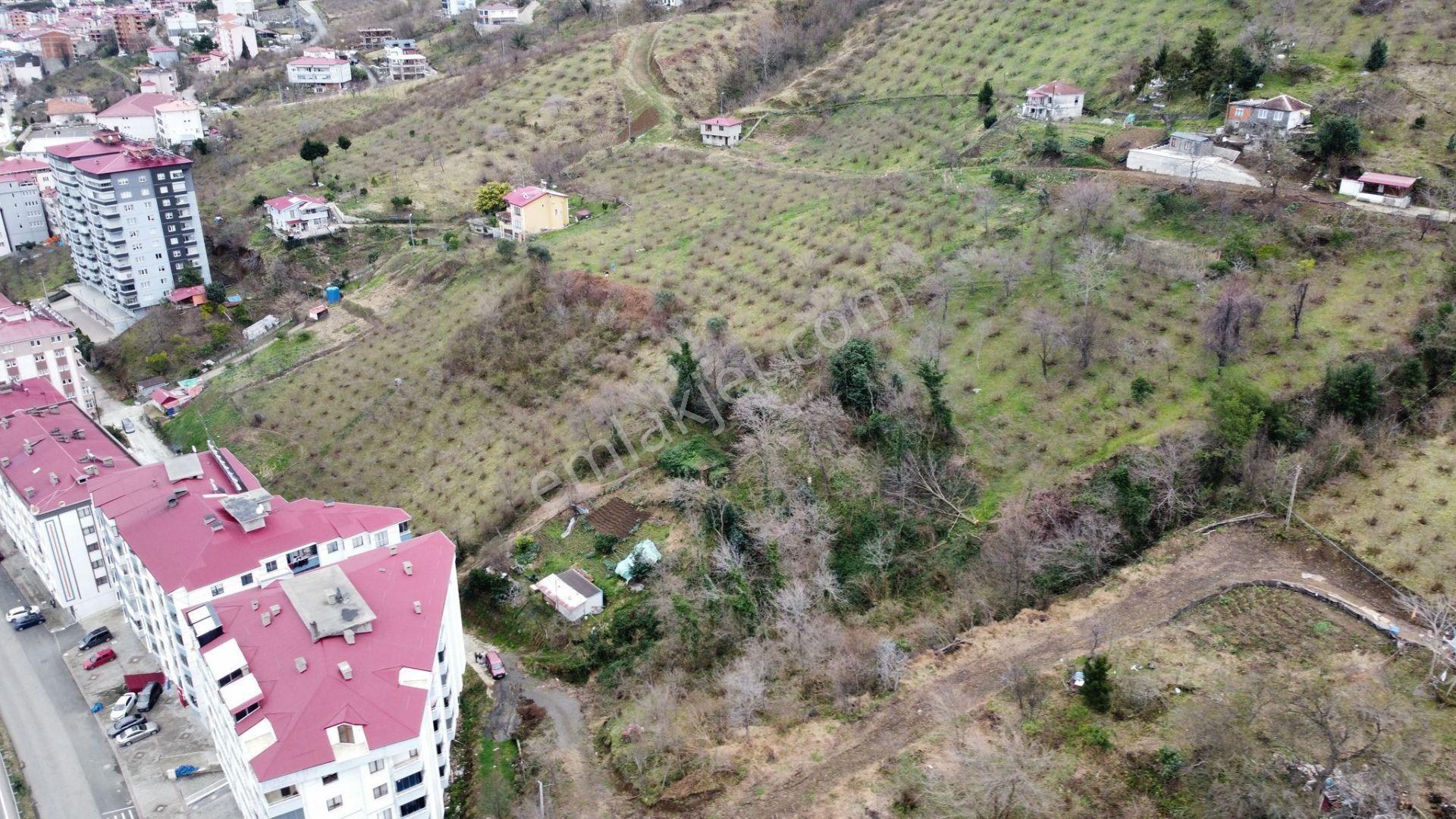 Çarşıbaşı Merkeze Yakın Köşe Parsel, Denize Yakın 465m2- 3 Kat İmarlı - Görsel 18