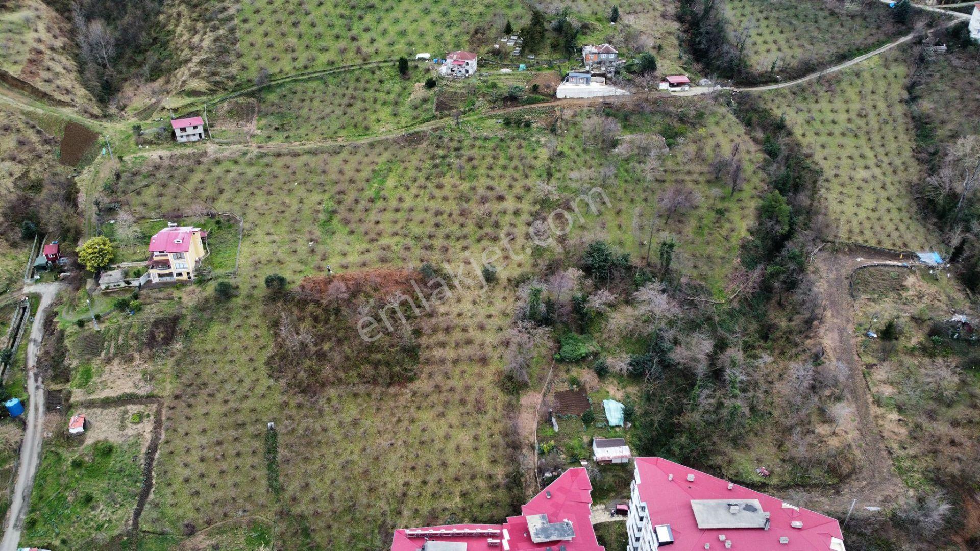 Çarşıbaşı Merkeze Yakın Köşe Parsel, Denize Yakın 465m2- 3 Kat İmarlı - Görsel 13