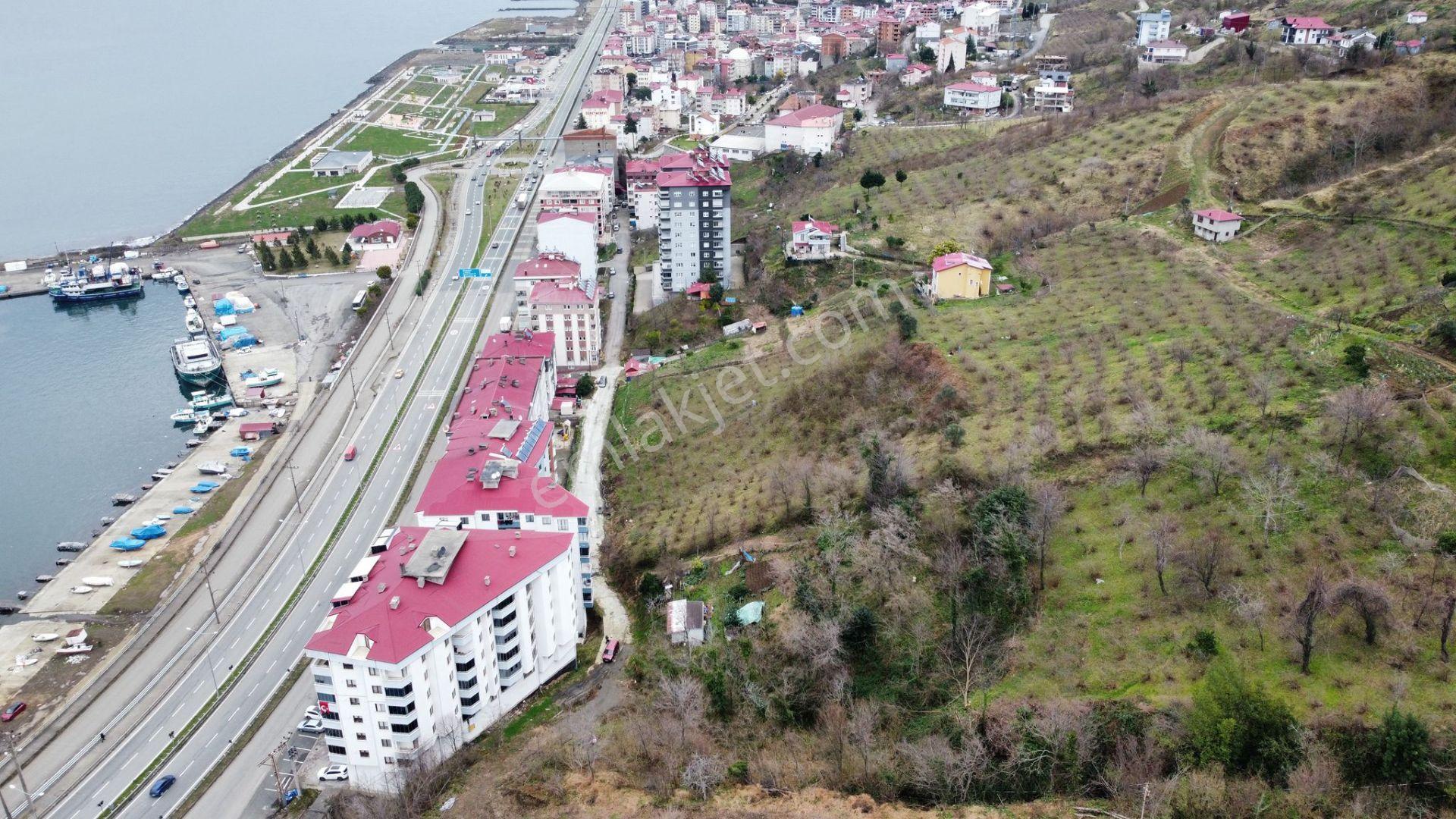 Çarşıbaşı Merkeze Yakın Köşe Parsel, Denize Yakın 465m2- 3 Kat İmarlı - Görsel 15