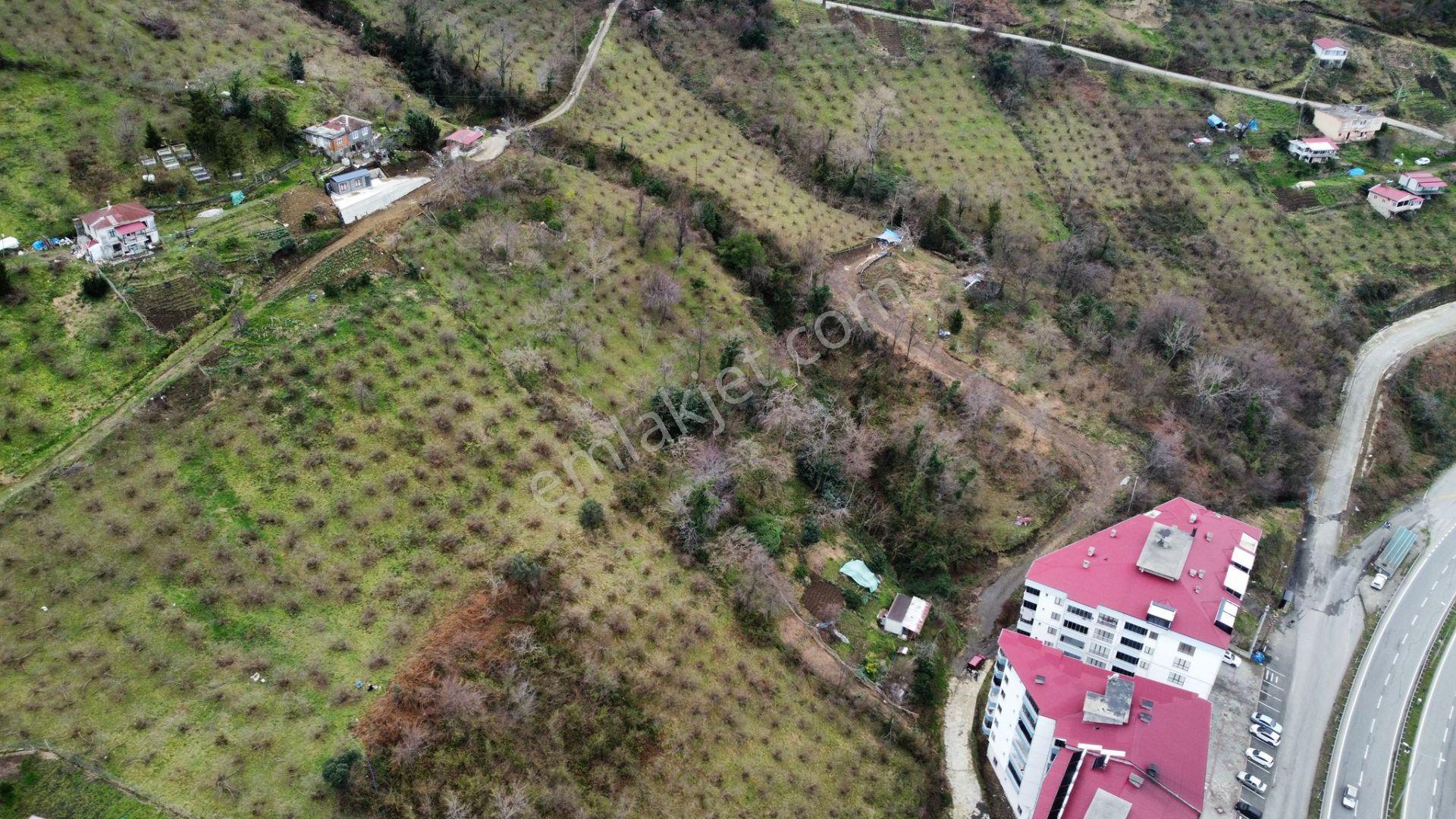 Çarşıbaşı Merkeze Yakın Köşe Parsel, Denize Yakın 465m2- 3 Kat İmarlı - Görsel 20
