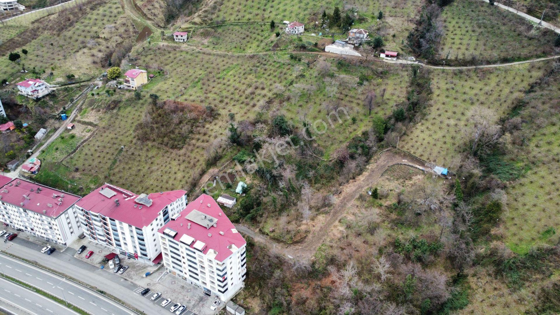 Çarşıbaşı Merkeze Yakın Köşe Parsel, Denize Yakın 465m2- 3 Kat İmarlı - Görsel 3