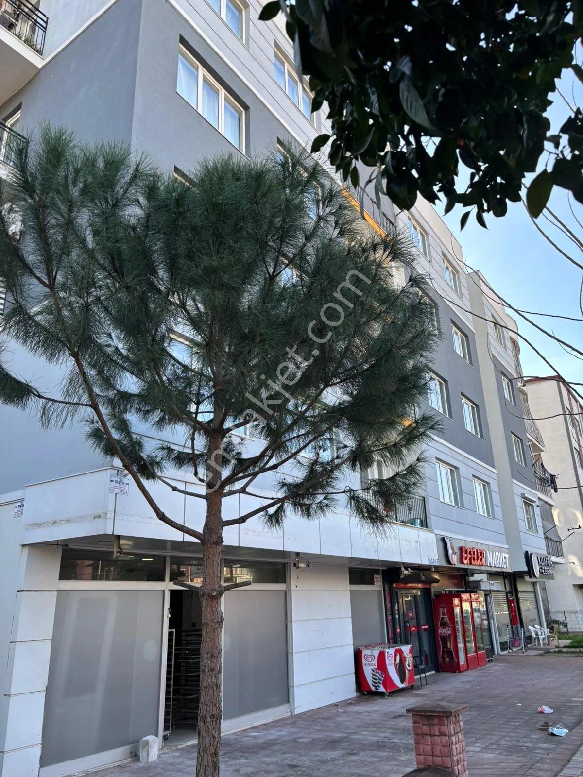 Sahibinden Satılık 125 M2 Dükkan - Görsel 2