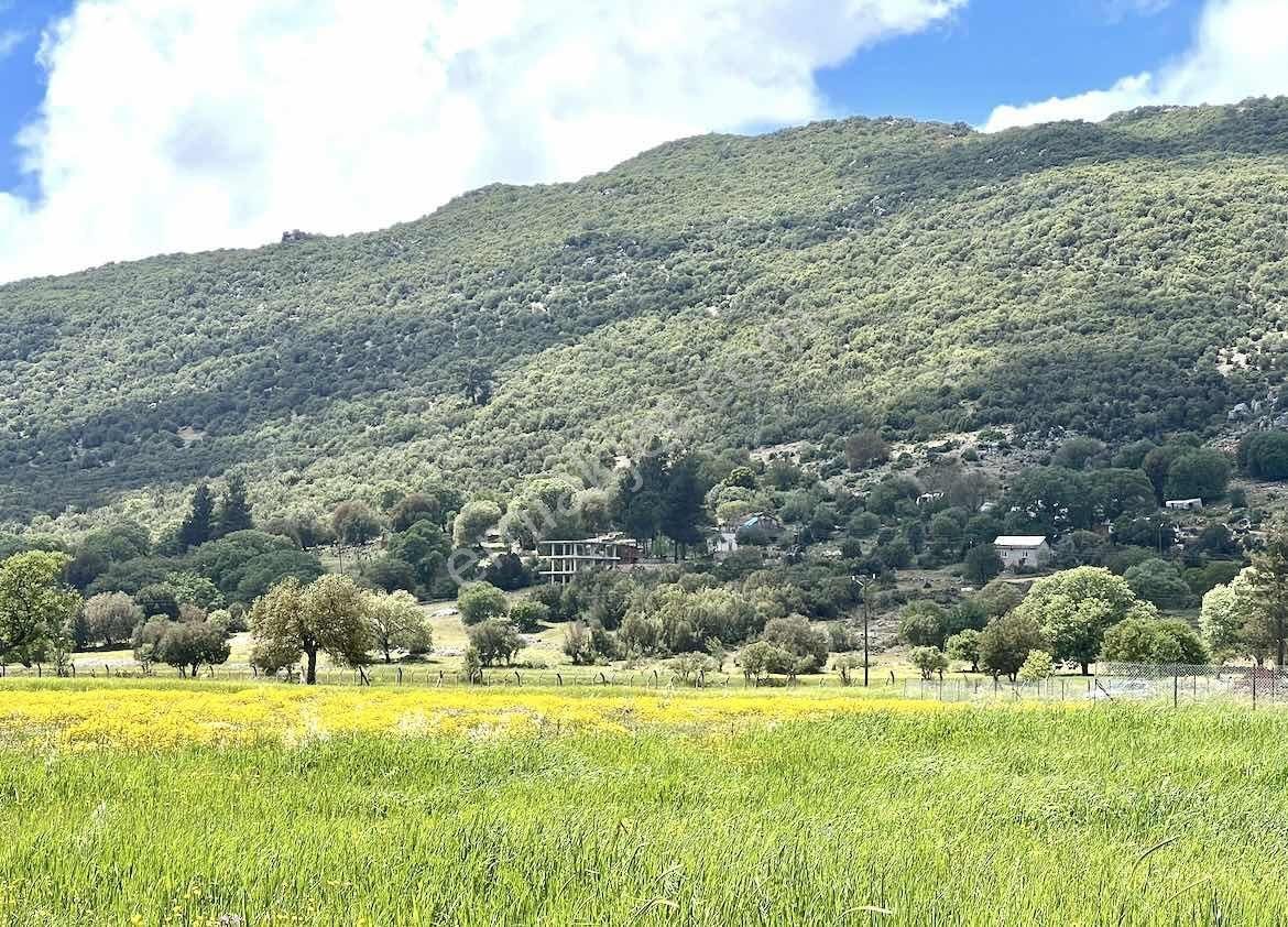 Kaş Çerler Merkez De Mega Dan 7.700 M2 Müstakil Tapu - Görsel 2