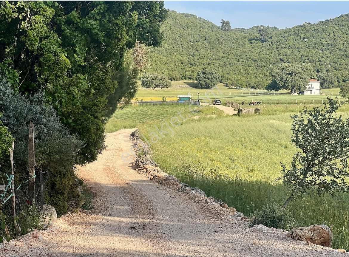 Kaş Çerler Merkez De Mega Dan 7.700 M2 Müstakil Tapu