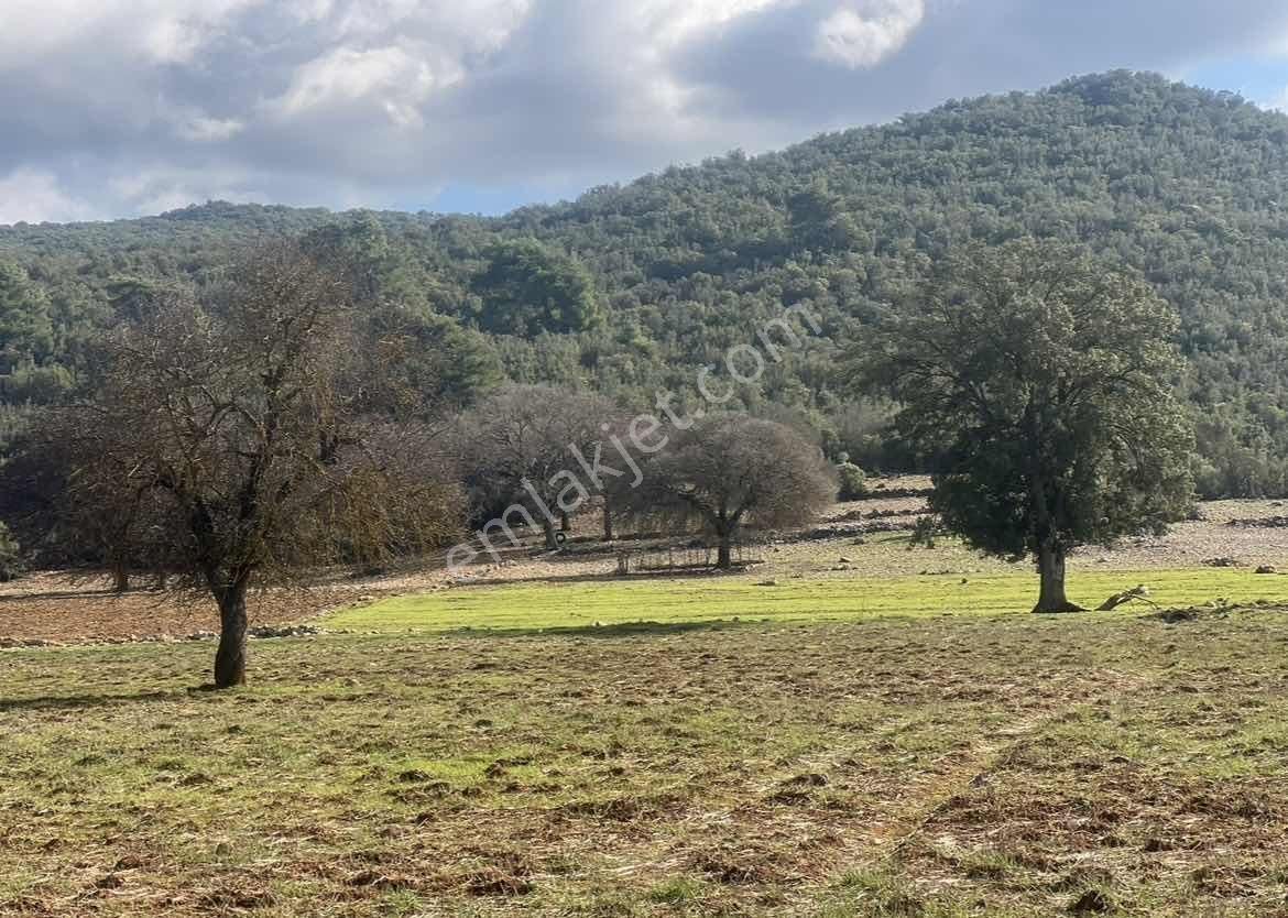 Kaş Çerler Merkez De Mega Dan 7.700 M2 Müstakil Tapu - Görsel 18