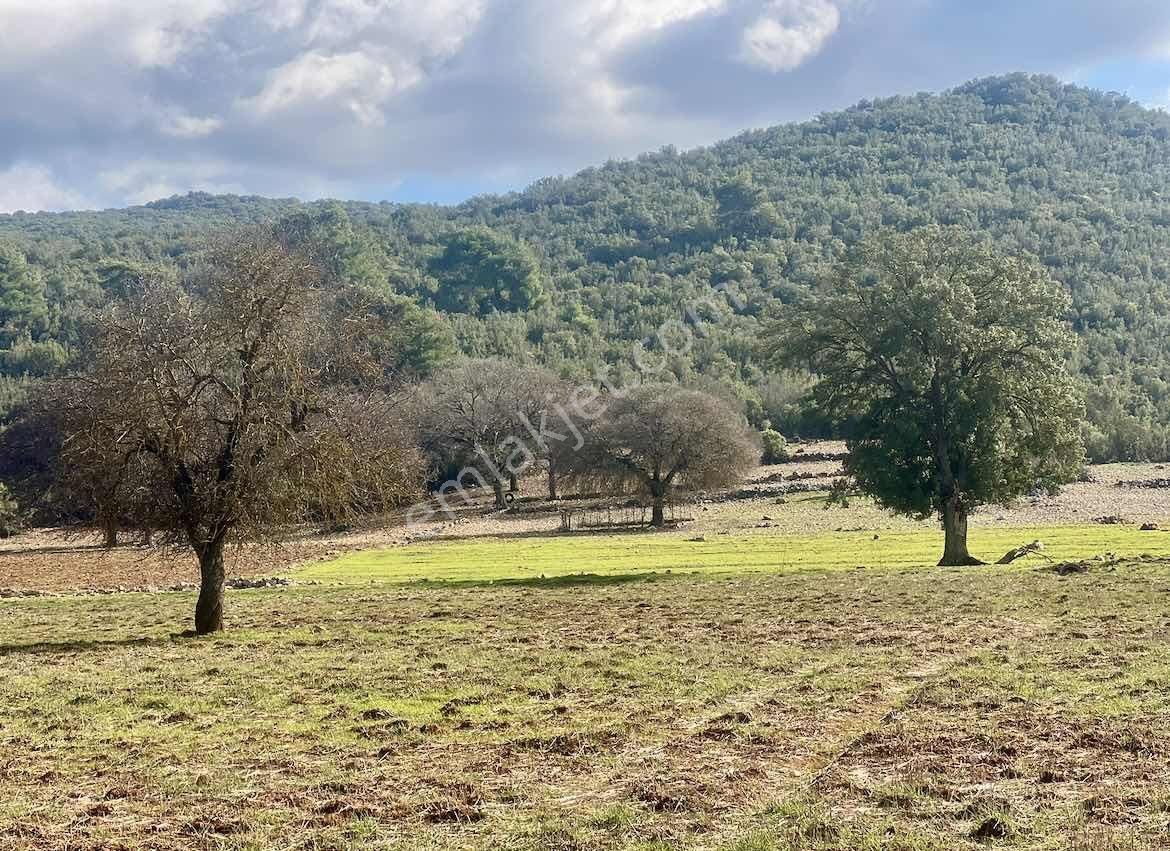 Kaş Çerler Merkez De Mega Dan 7.700 M2 Müstakil Tapu - Görsel 12