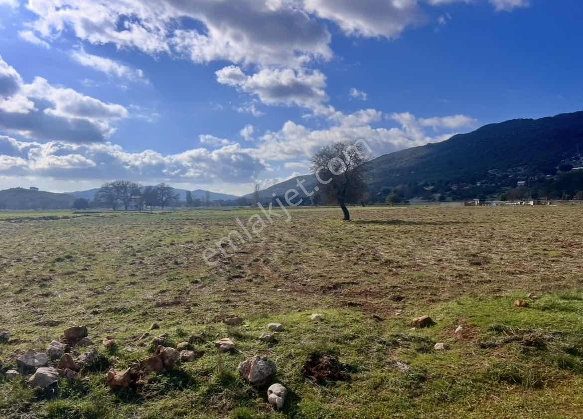 Kaş Çerler Merkez De Mega Dan 7.700 M2 Müstakil Tapu - Görsel 8