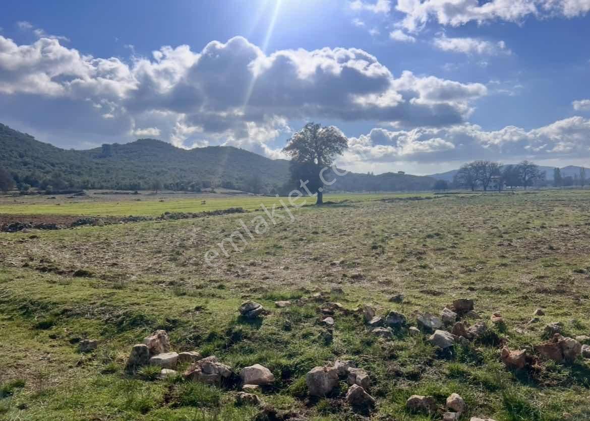 Kaş Çerler Merkez De Mega Dan 7.700 M2 Müstakil Tapu - Görsel 16