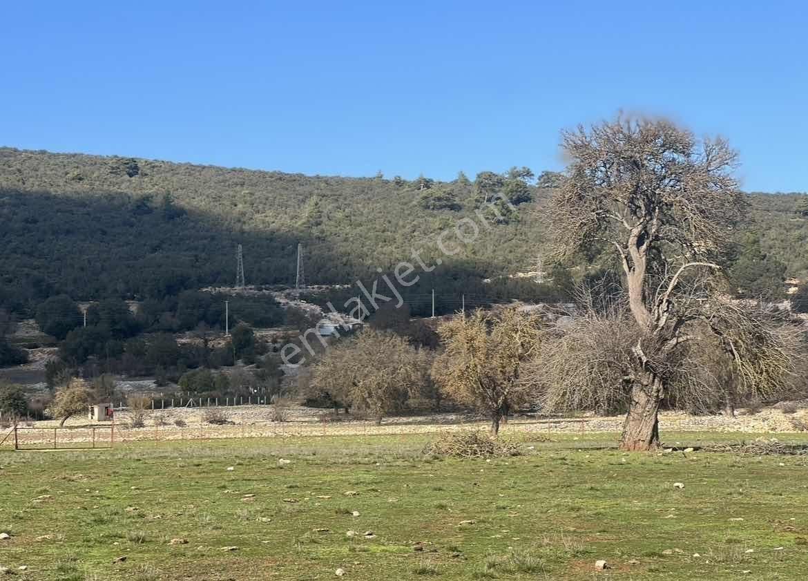 Kaş Çerler Merkez De Mega Dan 7.700 M2 Müstakil Tapu - Görsel 6