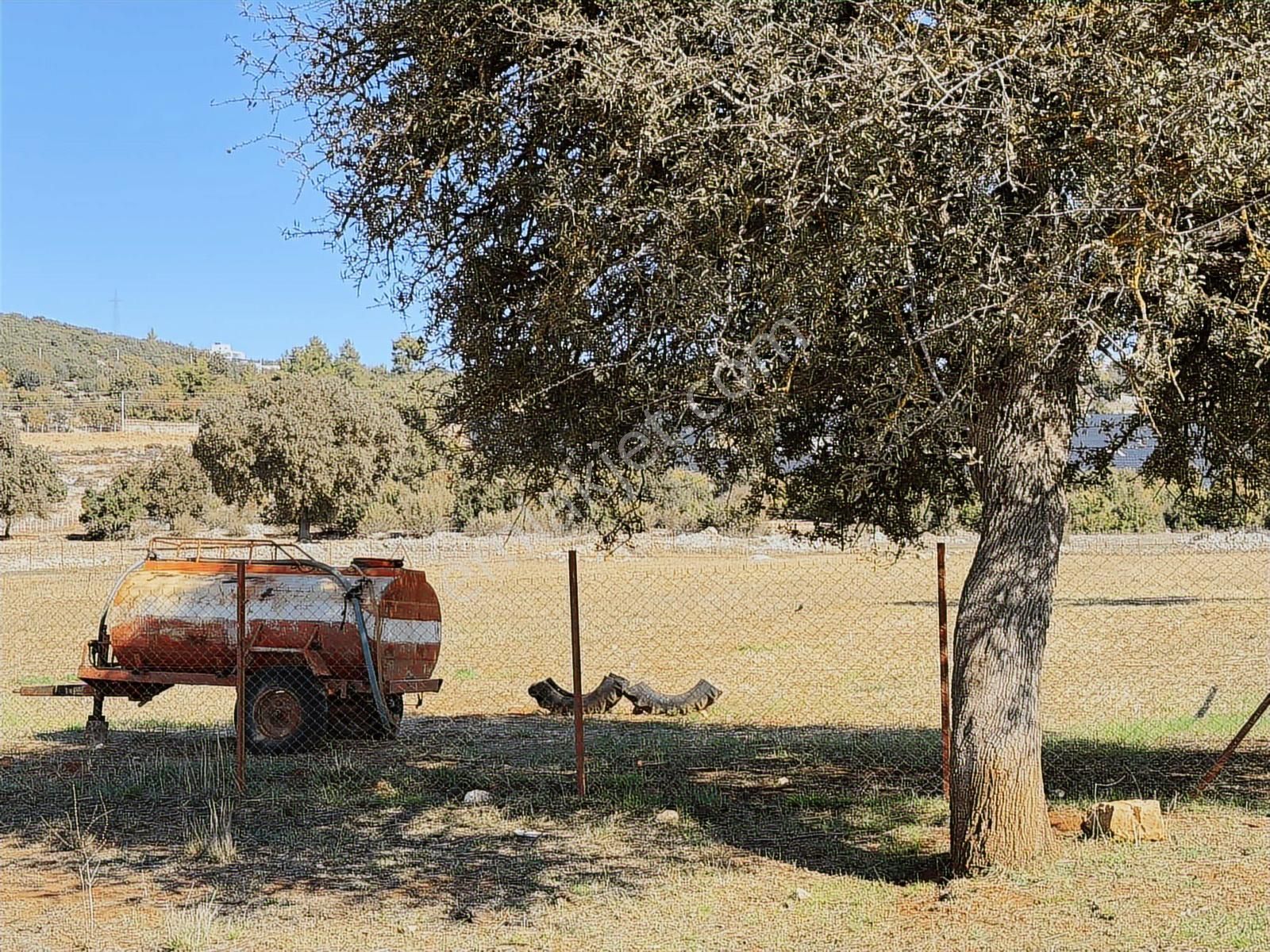 Kaş Mega Dan Çerler De Müstakil 4.500 M2 Parsel - Görsel 2