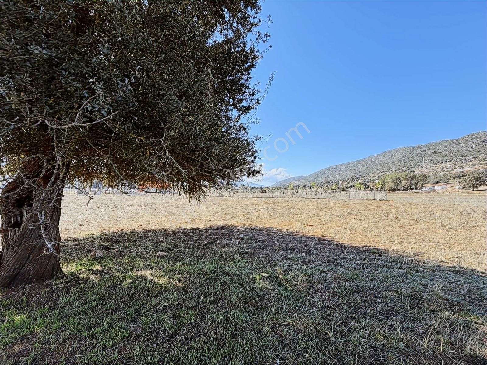 Kaş Mega Dan Çerler De Müstakil 4.500 M2 Parsel - Görsel 3
