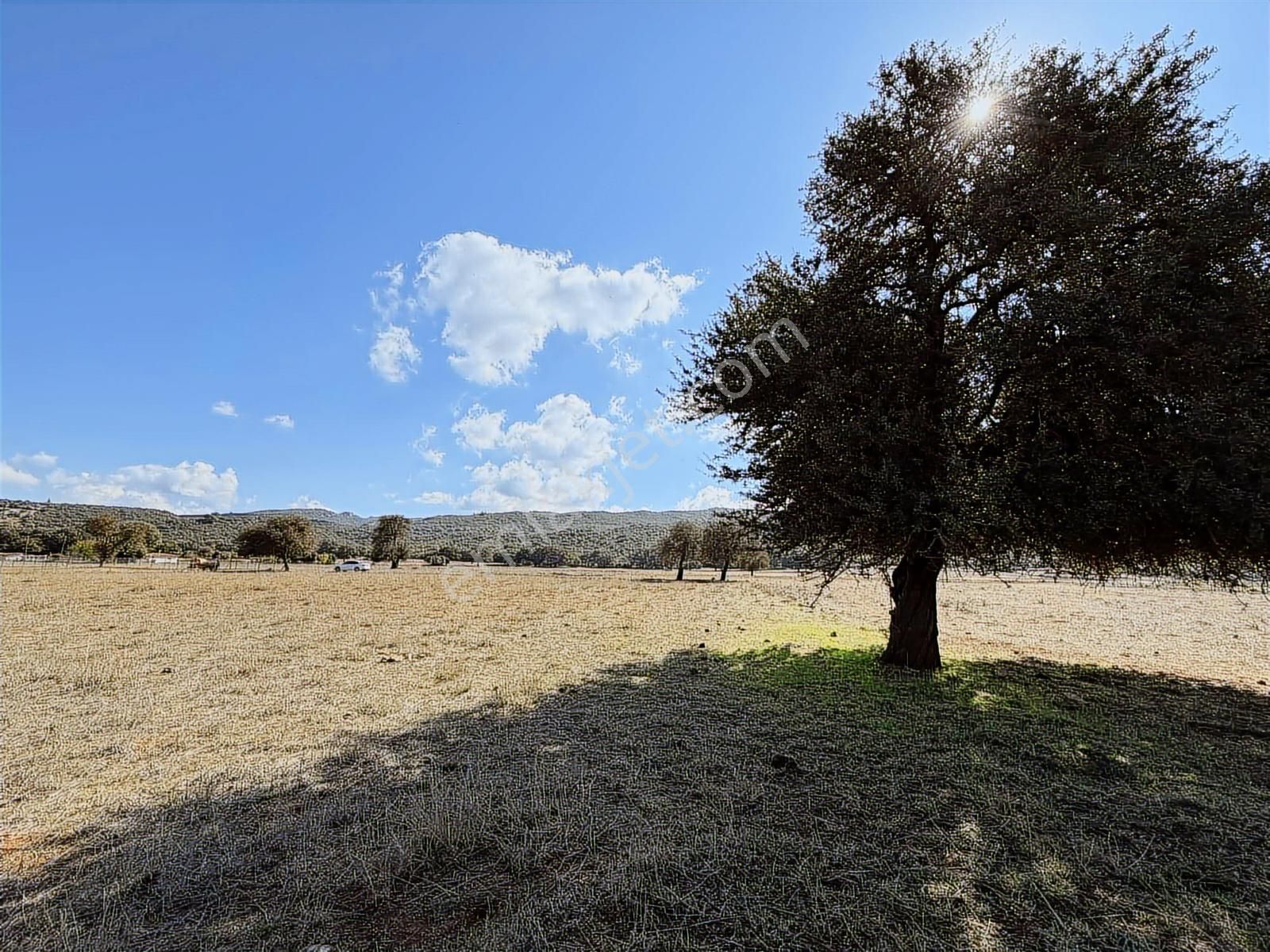 Kaş Mega Dan Çerler De Müstakil 4.500 M2 Parsel - Görsel 17