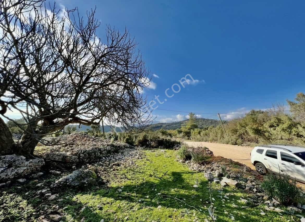 Kaş Ta Doğayla İçiçe Taş Ev Ve 1.850 M2 Bahçesi Gökçeyazı - Görsel 6