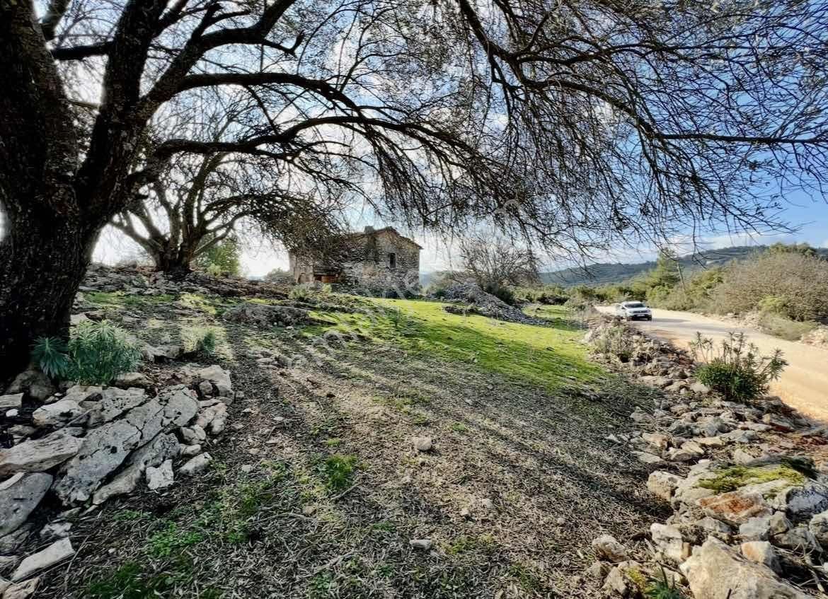 Kaş Ta Doğayla İçiçe Taş Ev Ve 1.850 M2 Bahçesi Gökçeyazı - Görsel 5