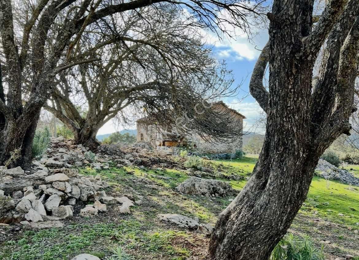 Kaş Ta Doğayla İçiçe Taş Ev Ve 1.850 M2 Bahçesi Gökçeyazı - Görsel 12