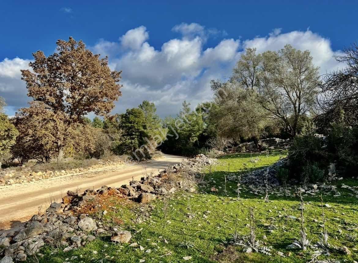 Kaş Ta Doğayla İçiçe Taş Ev Ve 1.850 M2 Bahçesi Gökçeyazı - Görsel 8