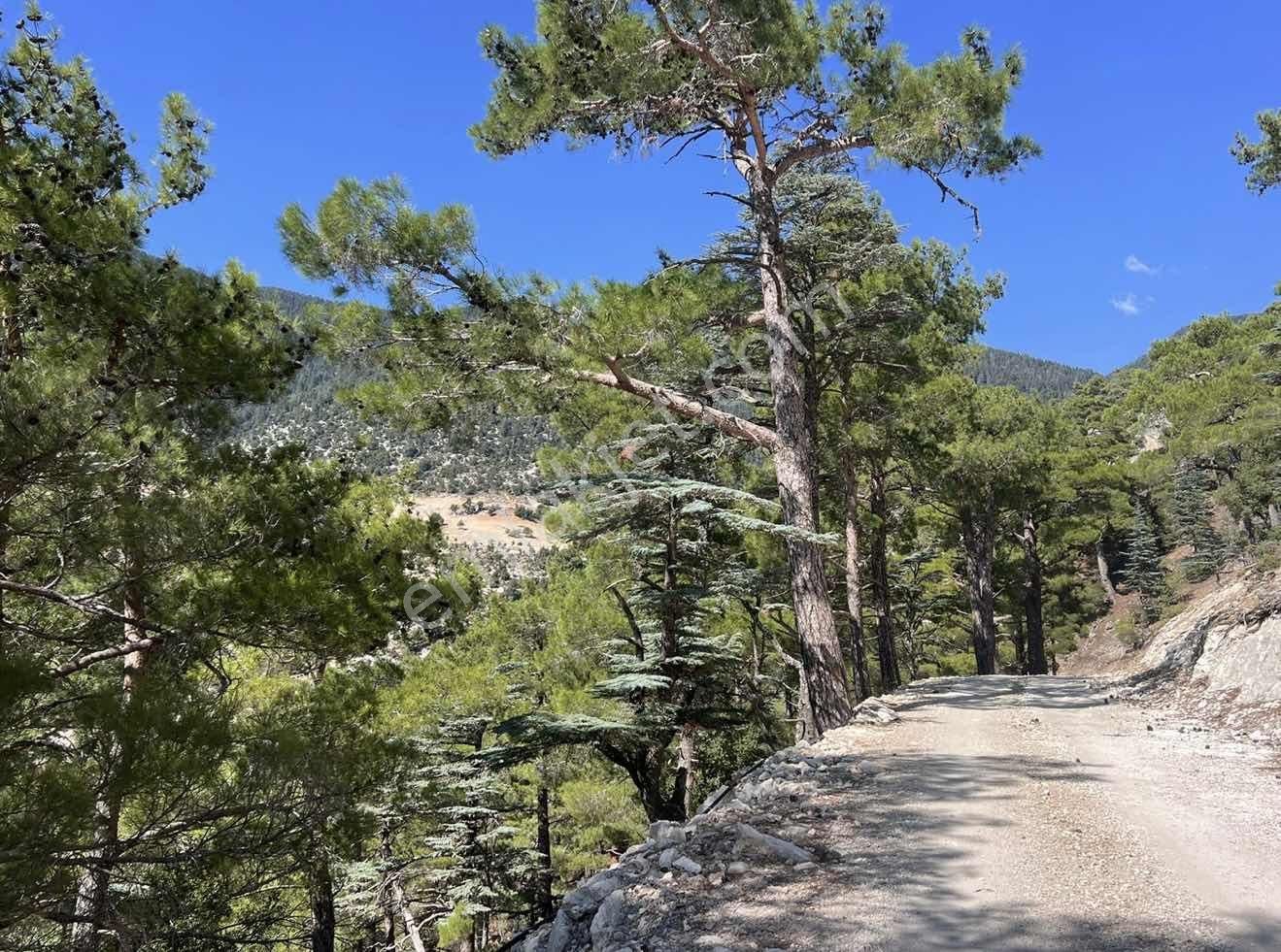 Kaş Ortabağ Da 9.000 M2 İnşaat İzinli Yola Cepheli Parsel - Görsel 6