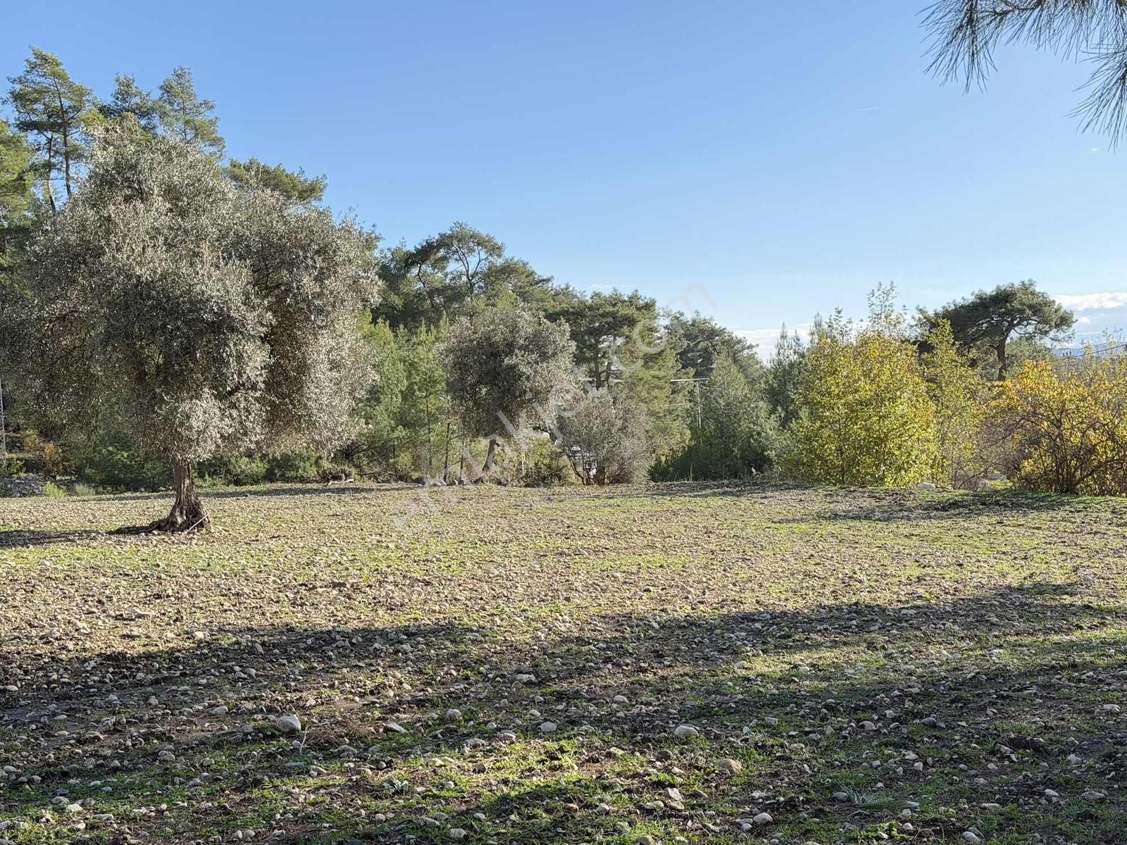 Kaş Ortabağ Da 10.100 M2 Müstakil Parsel - Görsel 5