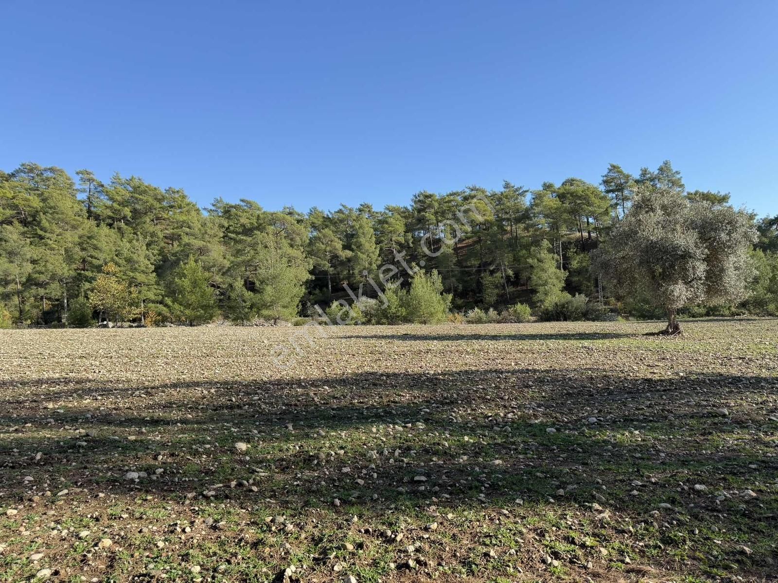 Kaş Ortabağ Da 10.100 M2 Müstakil Parsel - Görsel 2