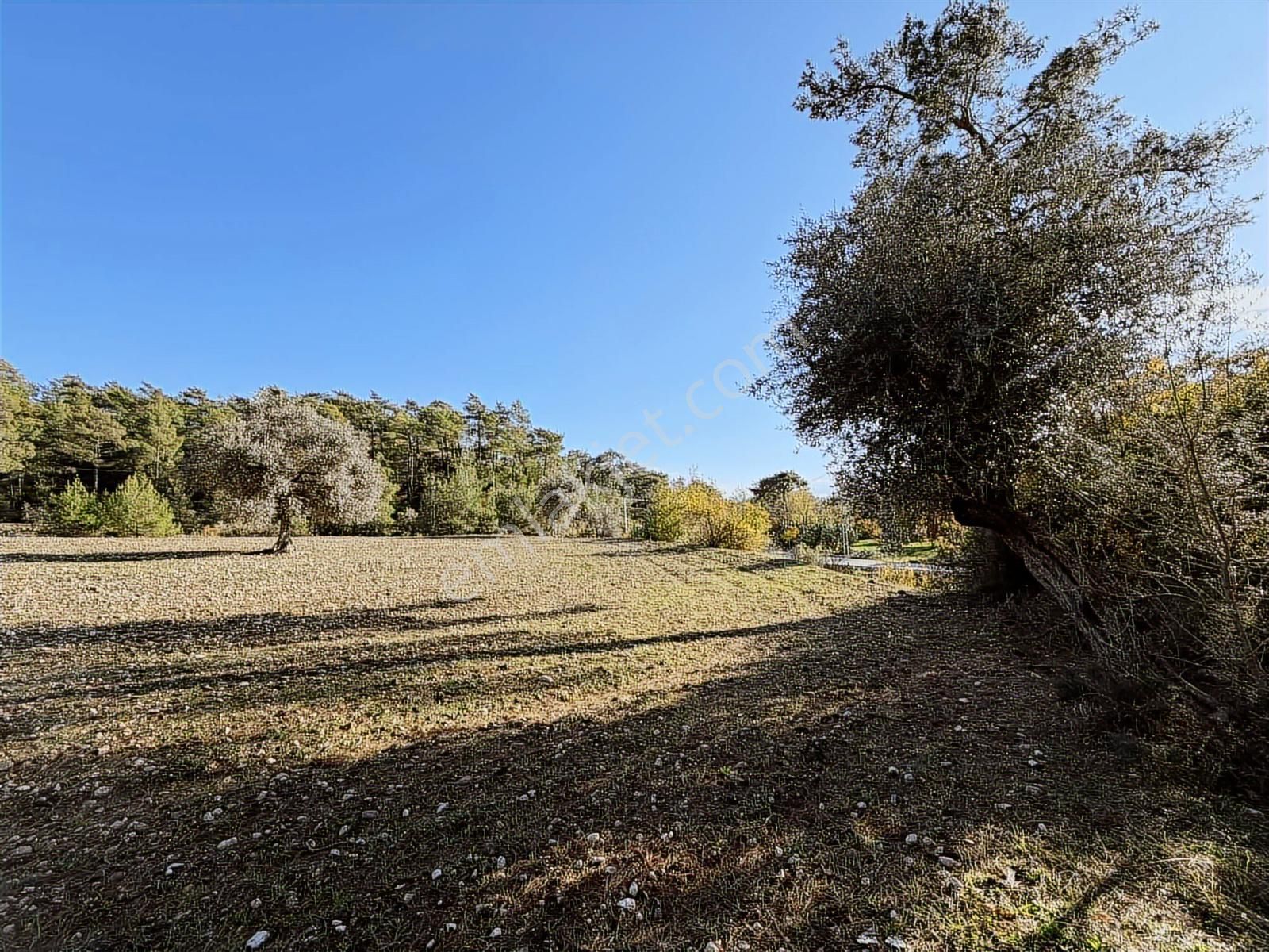 Kaş Ortabağ Da 10.100 M2 Müstakil Parsel - Görsel 7