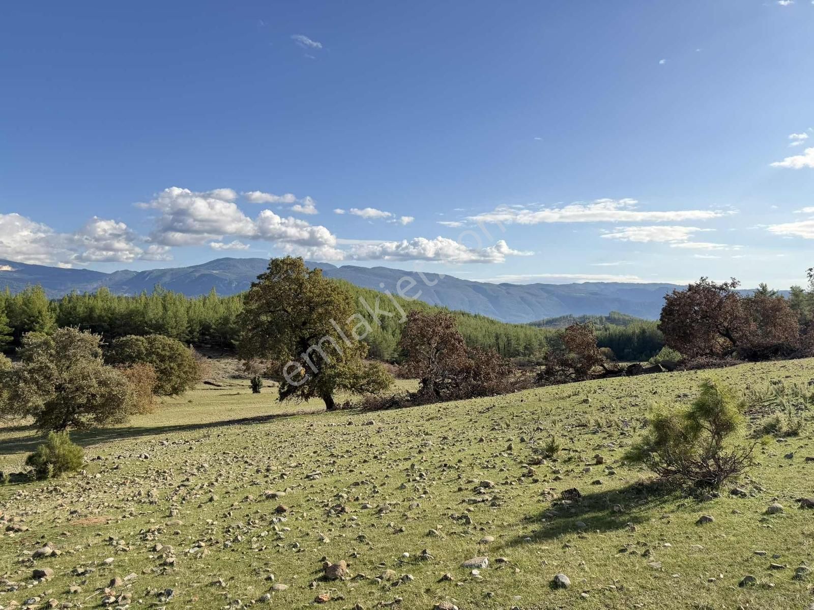 Kaş Ortabağ Da Müstakil 4.500 M2 Parsel - Görsel 7