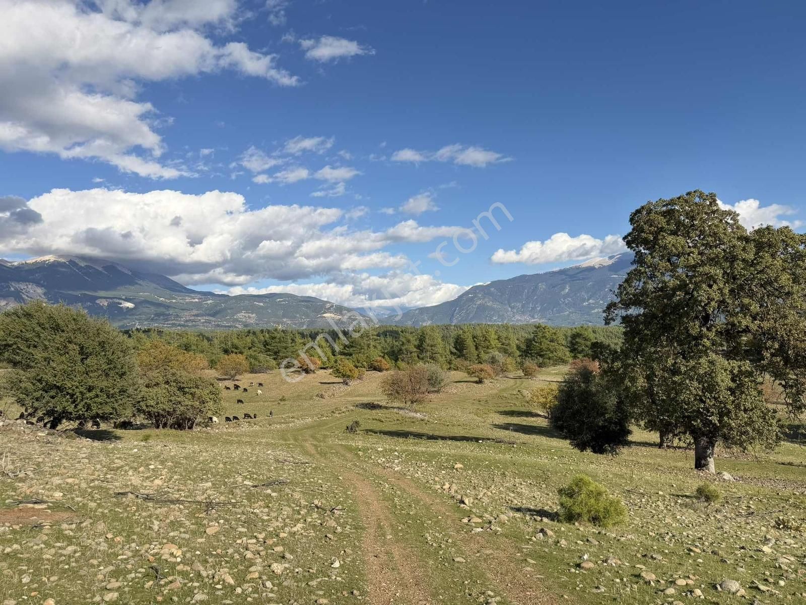 Kaş Ortabağ Da Müstakil 4.500 M2 Parsel - Görsel 11