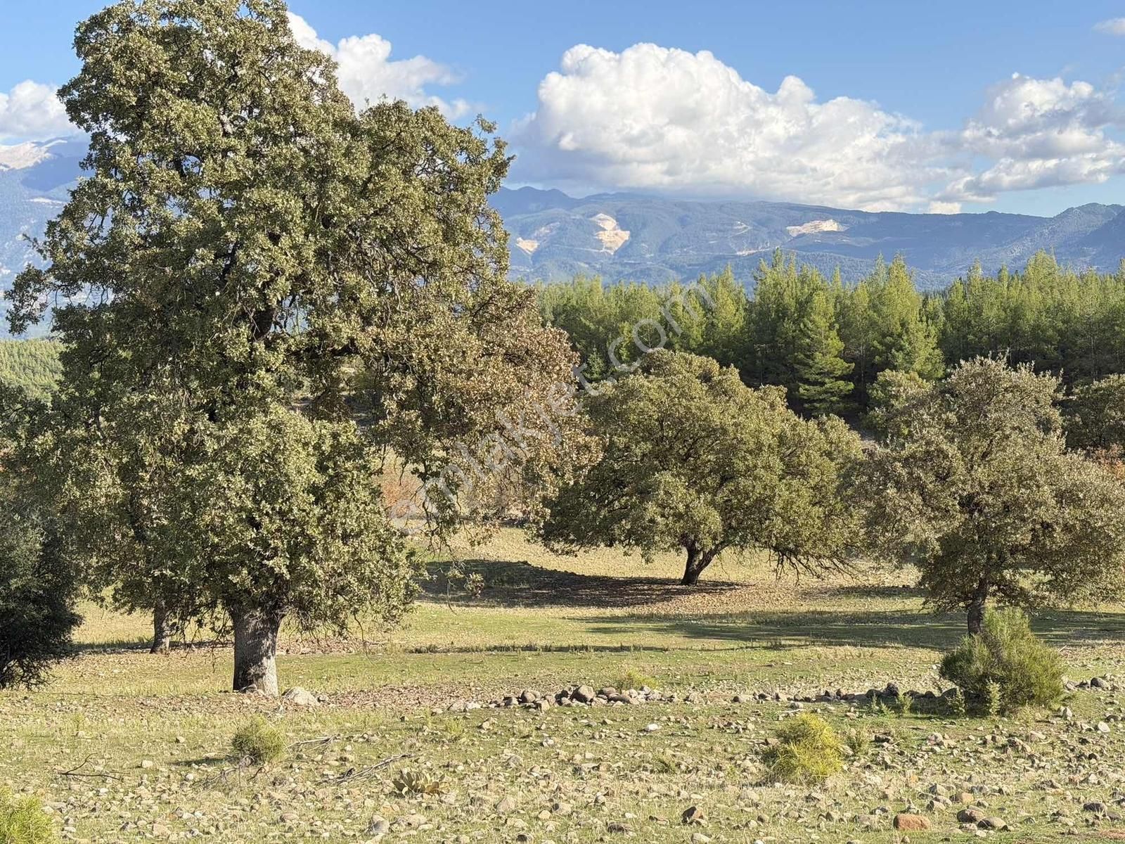 Kaş Ortabağ Da Müstakil 4.500 M2 Parsel